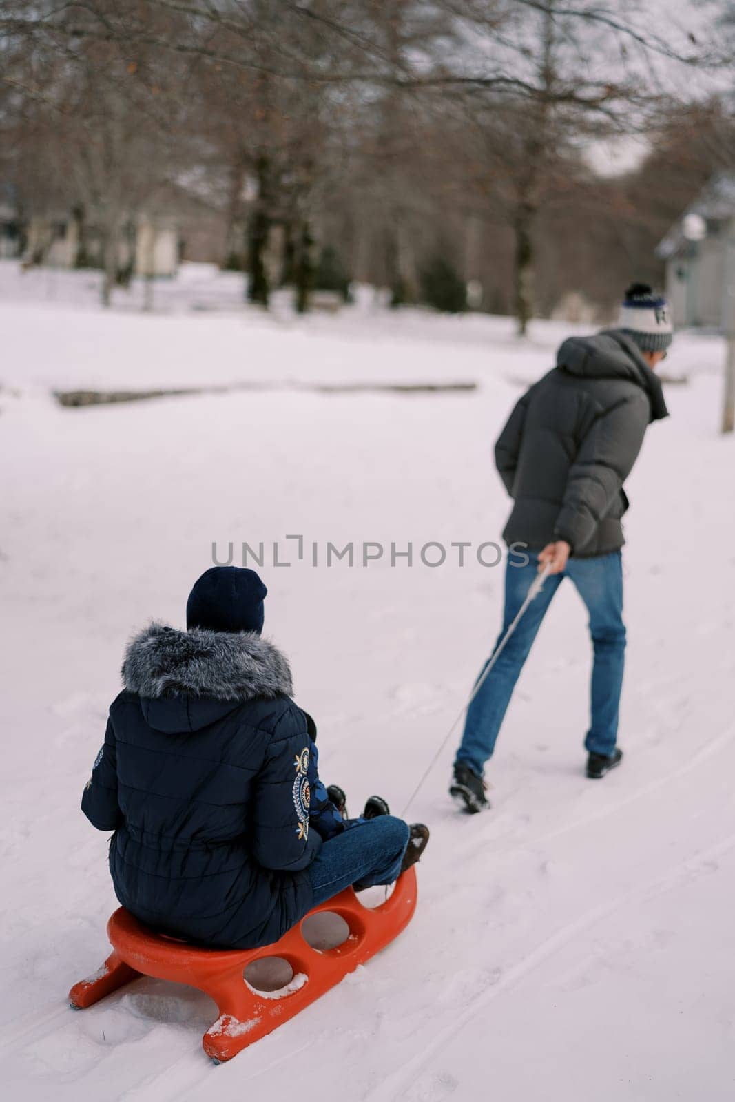 Dad is pulling a sled with mom and a child on a string through the snow. Back view by Nadtochiy