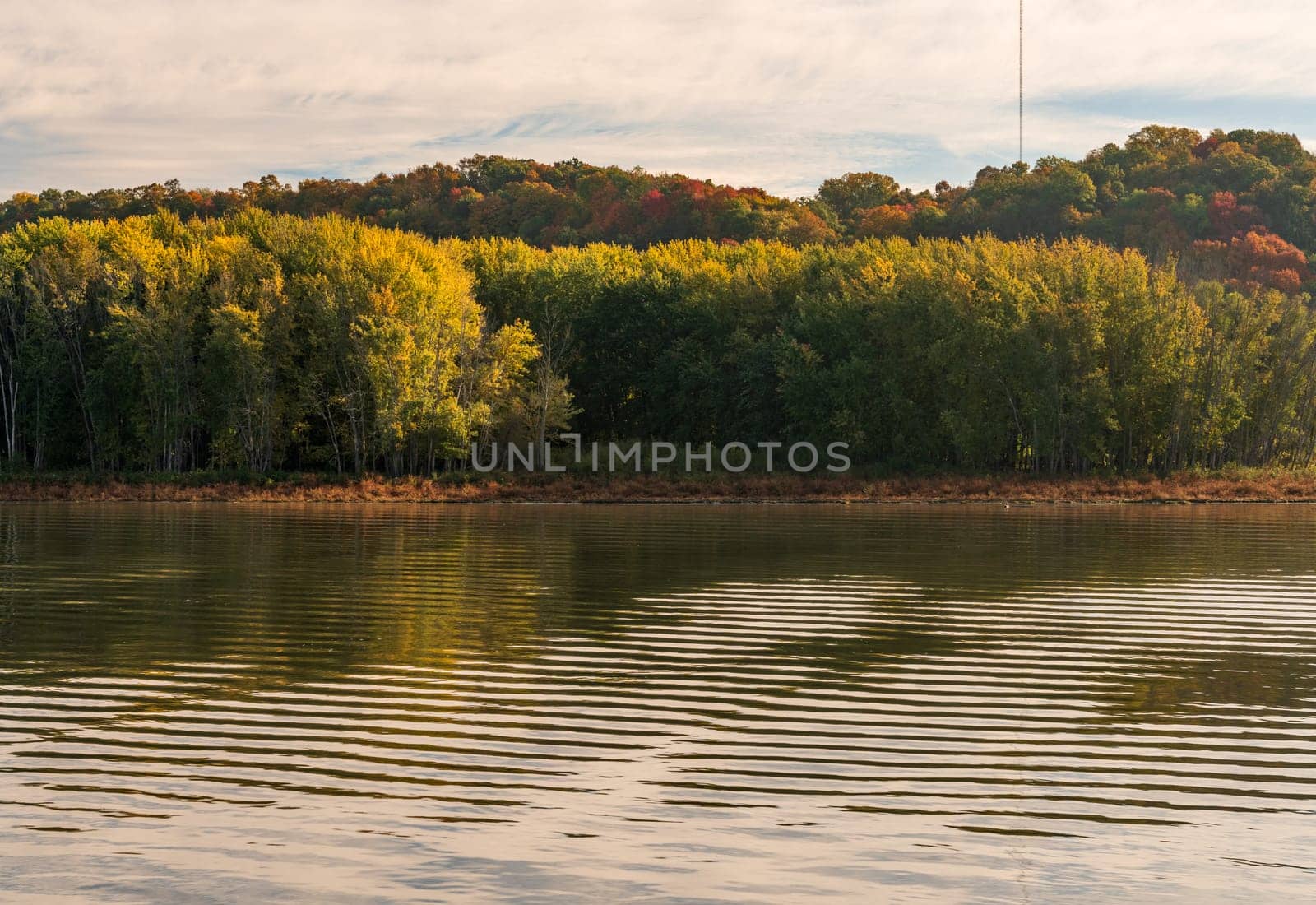 Ripples in calm surface of the Upper Mississippi reflecting fall colors near Dubuque Iowa