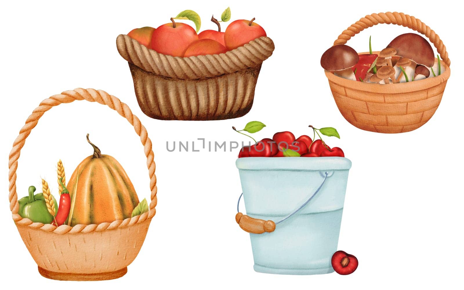 Watercolor harvest set. Baskets with fresh produce: rustic pumpkins, spicy peppers, delicate wheat sheaves, crisp apples, and fresh forest mushrooms - white mushrooms and slippery jacks. ripe cherries.