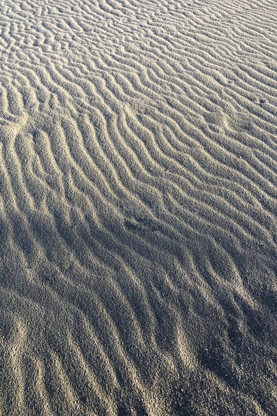 Photographic documentation of the sand smoothed and drawn by the strong wind 