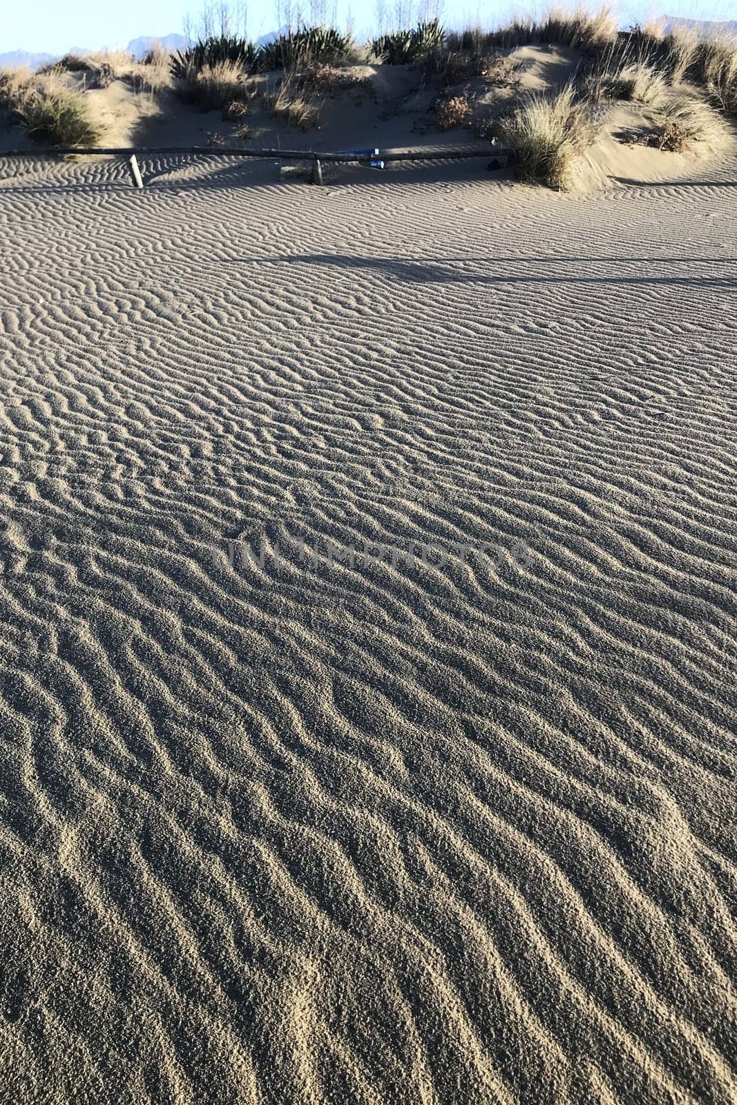 Photographic documentation of the sand smoothed and drawn by the strong wind 