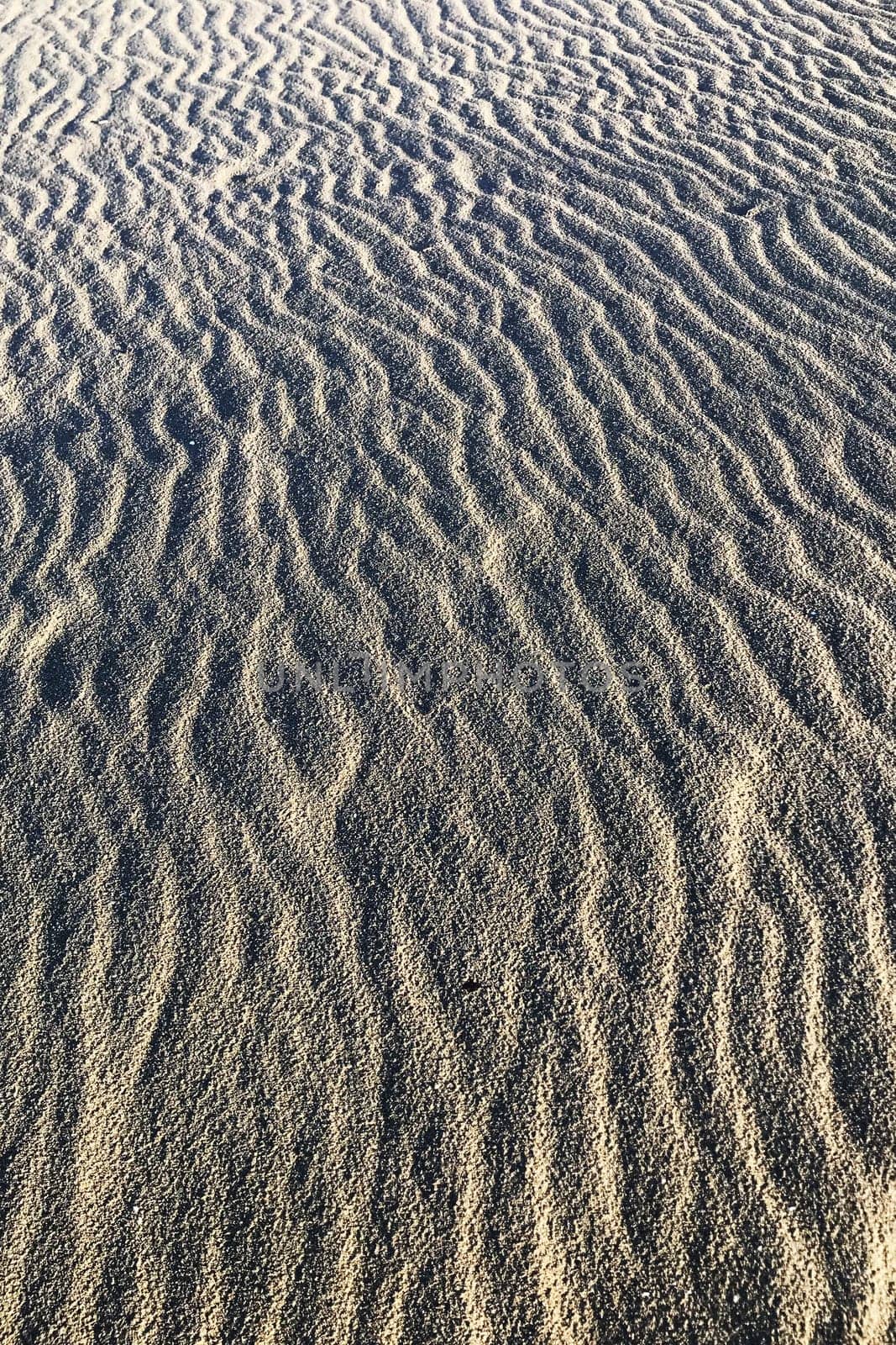 Photographic documentation of the sand smoothed and drawn by the strong wind 