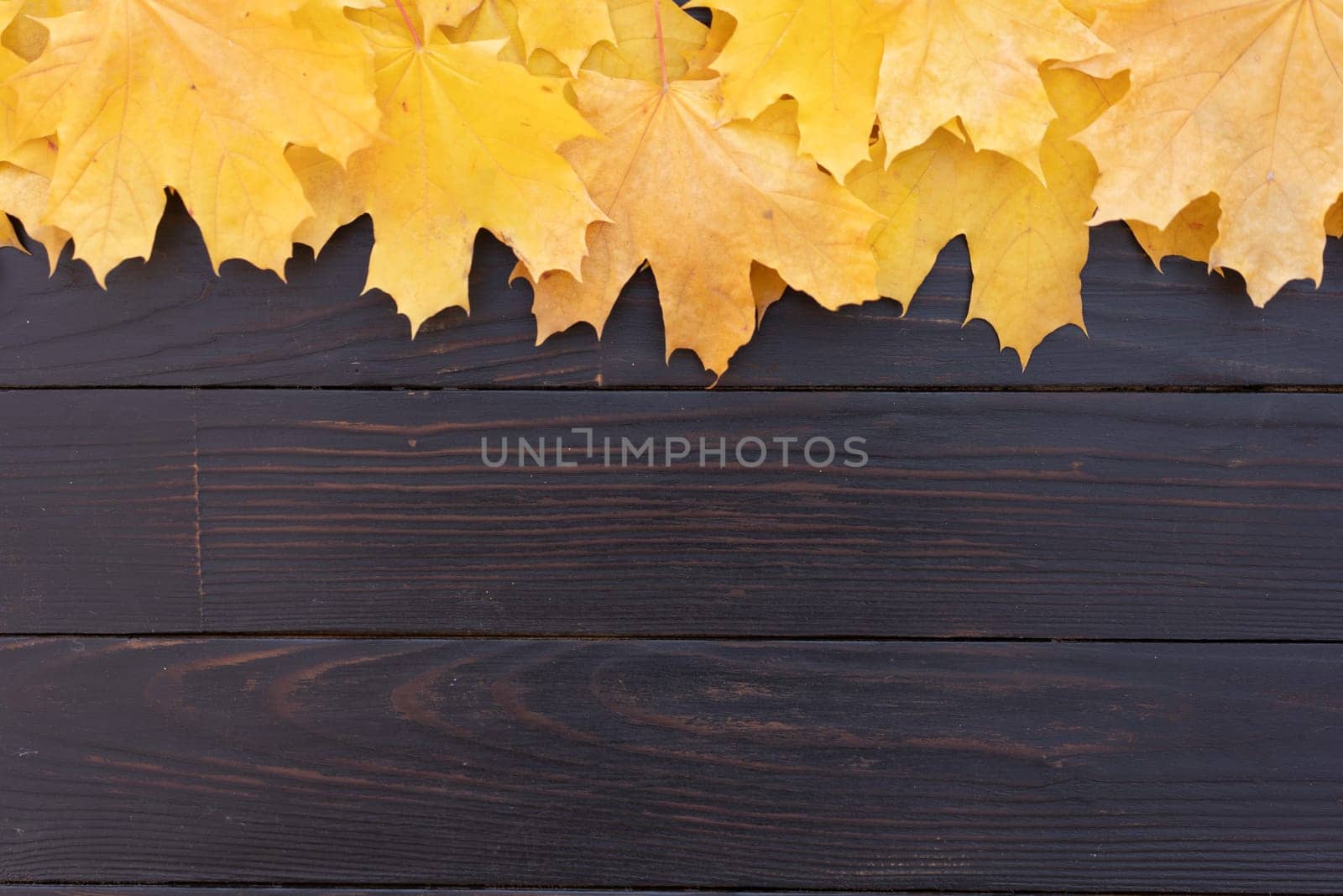 Autumn leaves frame on one up side wooden background top view Fall Border yellow and Orange Leaves vintage wood table Copy space. Mock up for your design. Display for product or text