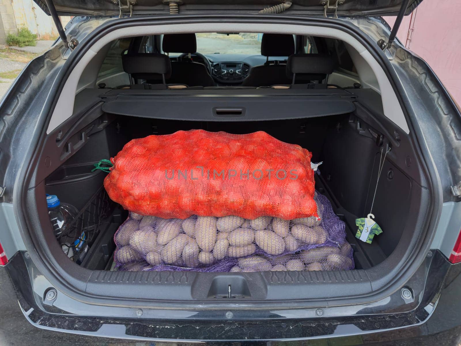 Bags of potatoes in the trunk of the car. photo