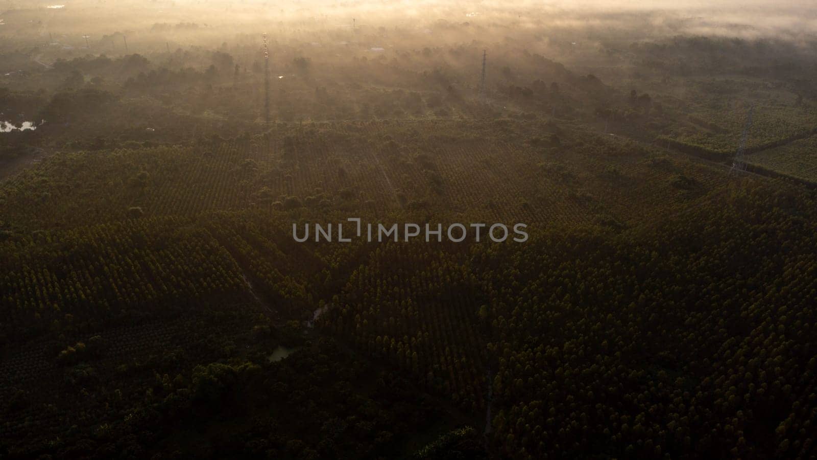 Aerial view of High voltage grid tower with wire cable at tree forest with fog in early morning. Colorful landscape with woods in fog, sunbeams, sky, forest in winter morning. by TEERASAK