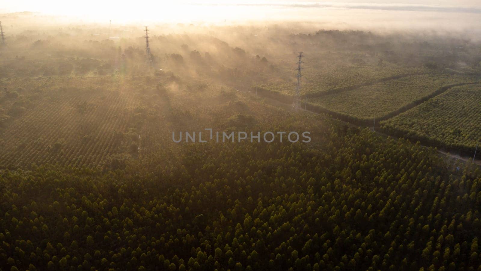 Aerial view of High voltage grid tower with wire cable at tree forest with fog in early morning. Colorful landscape with woods in fog, sunbeams, sky, forest in winter morning. by TEERASAK