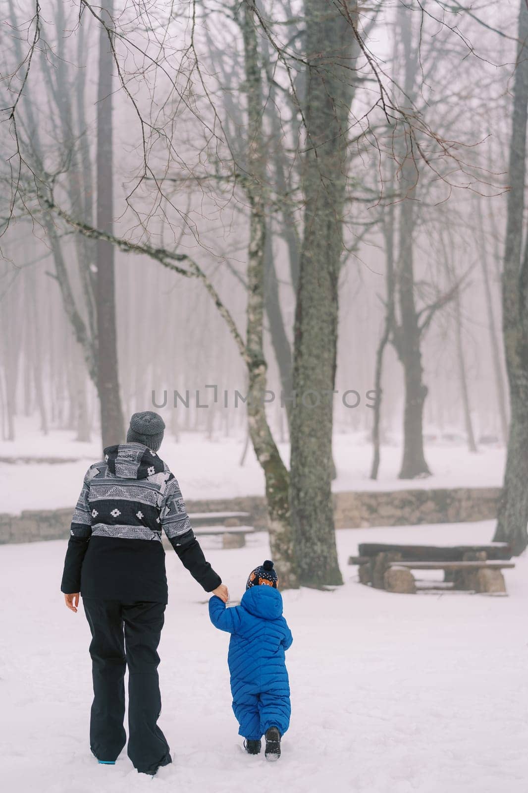 Mom leads a small child by the hand through a snowy forest. Back view. High quality photo