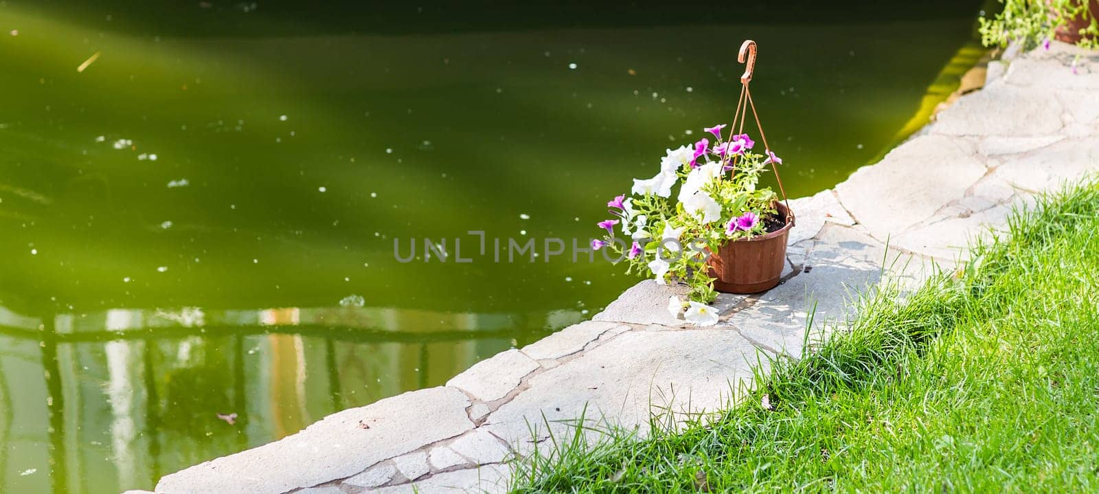 Hanging Flower Basket. baskets of flowers in the decoration outdoors