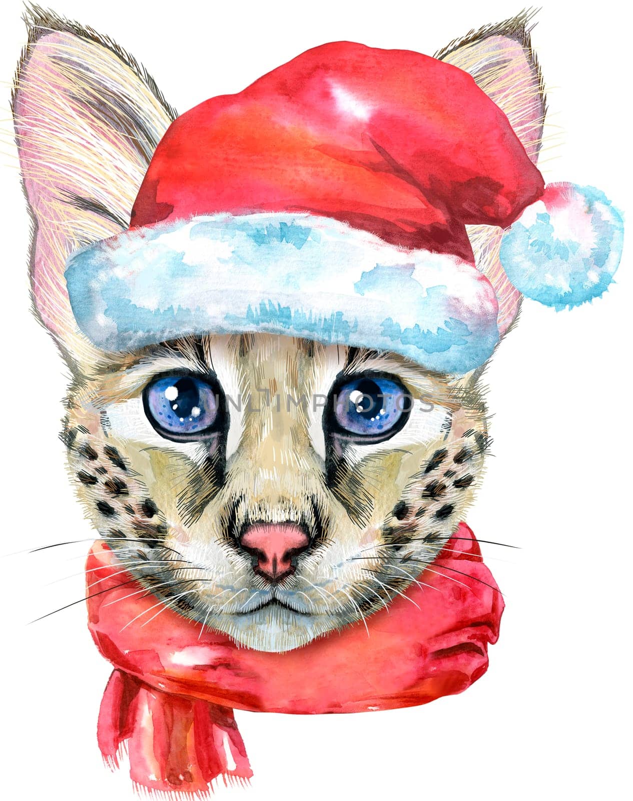 Lovely closeup portrait Savannah cat in Santa hat. Hand drawn water colour painting on white background by NataOmsk