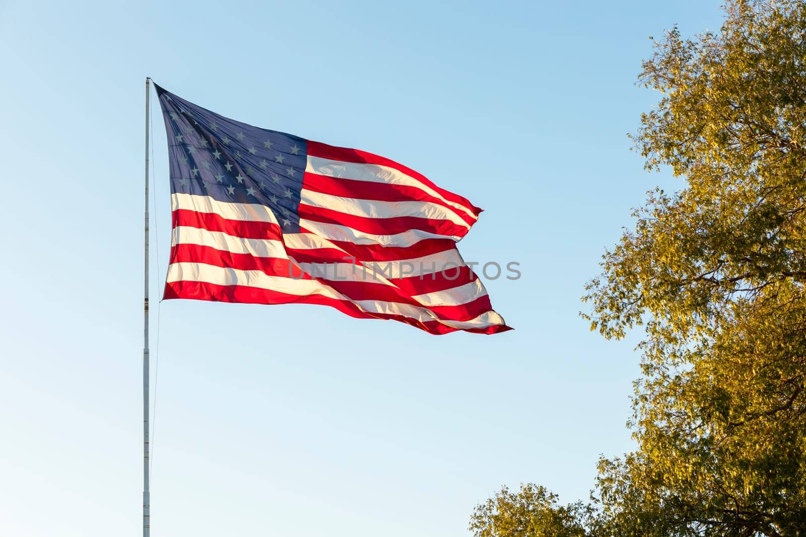 Waving American USA Flags on Flagpole On Background Of Blue Sky, Green tree, Template Horizontal Plane. High quality photo