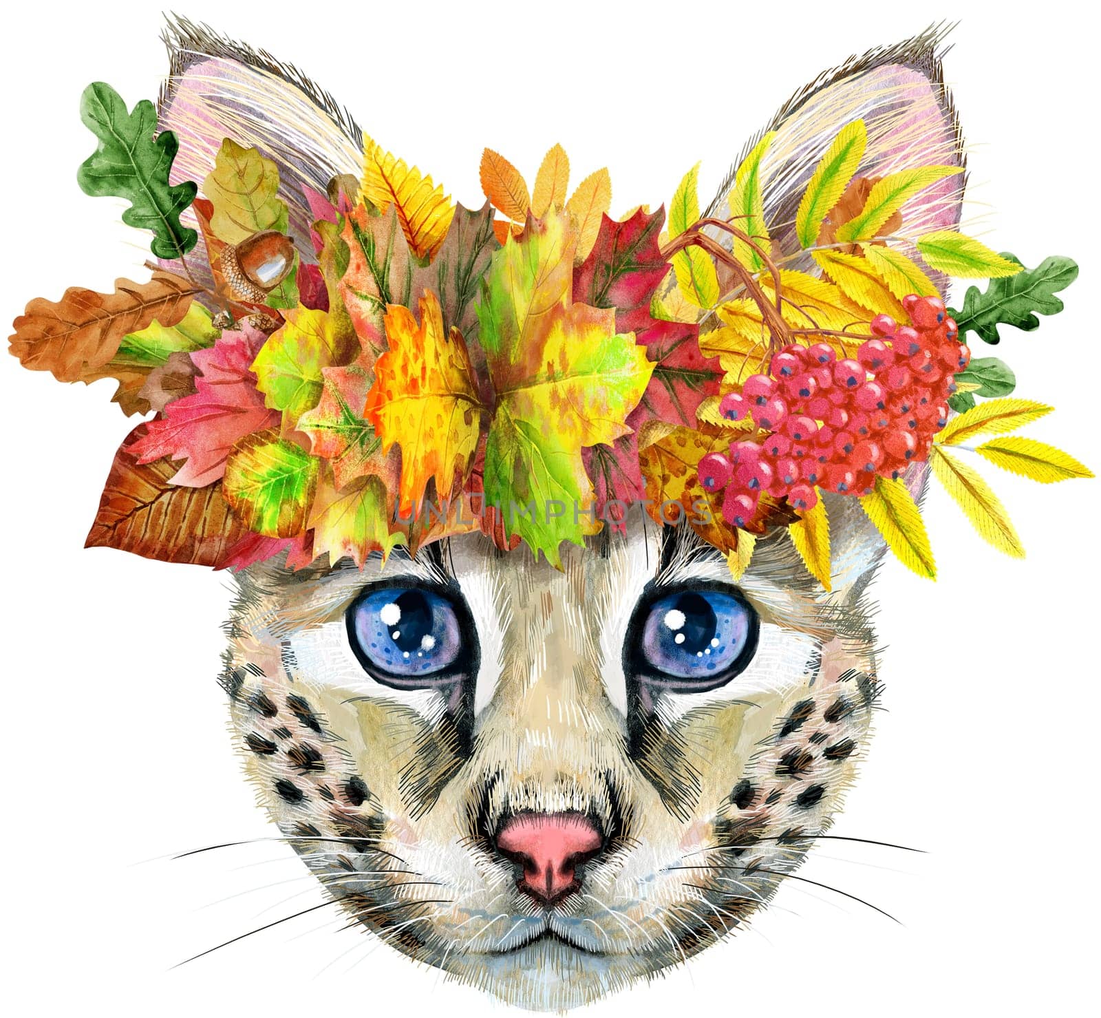 Lovely closeup portrait Savannah cat in a wreath of autumn leaves. Hand drawn water colour painting on white background by NataOmsk