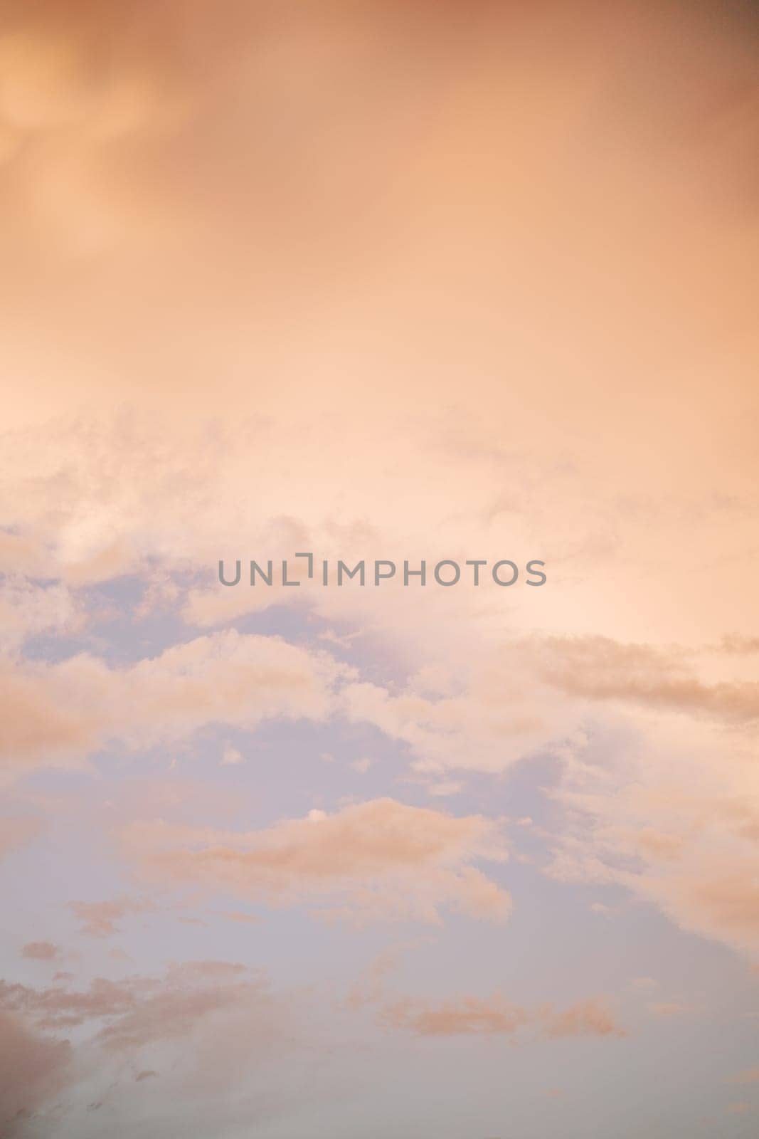 Pink clouds in the sunset sky. Bottom view by Nadtochiy