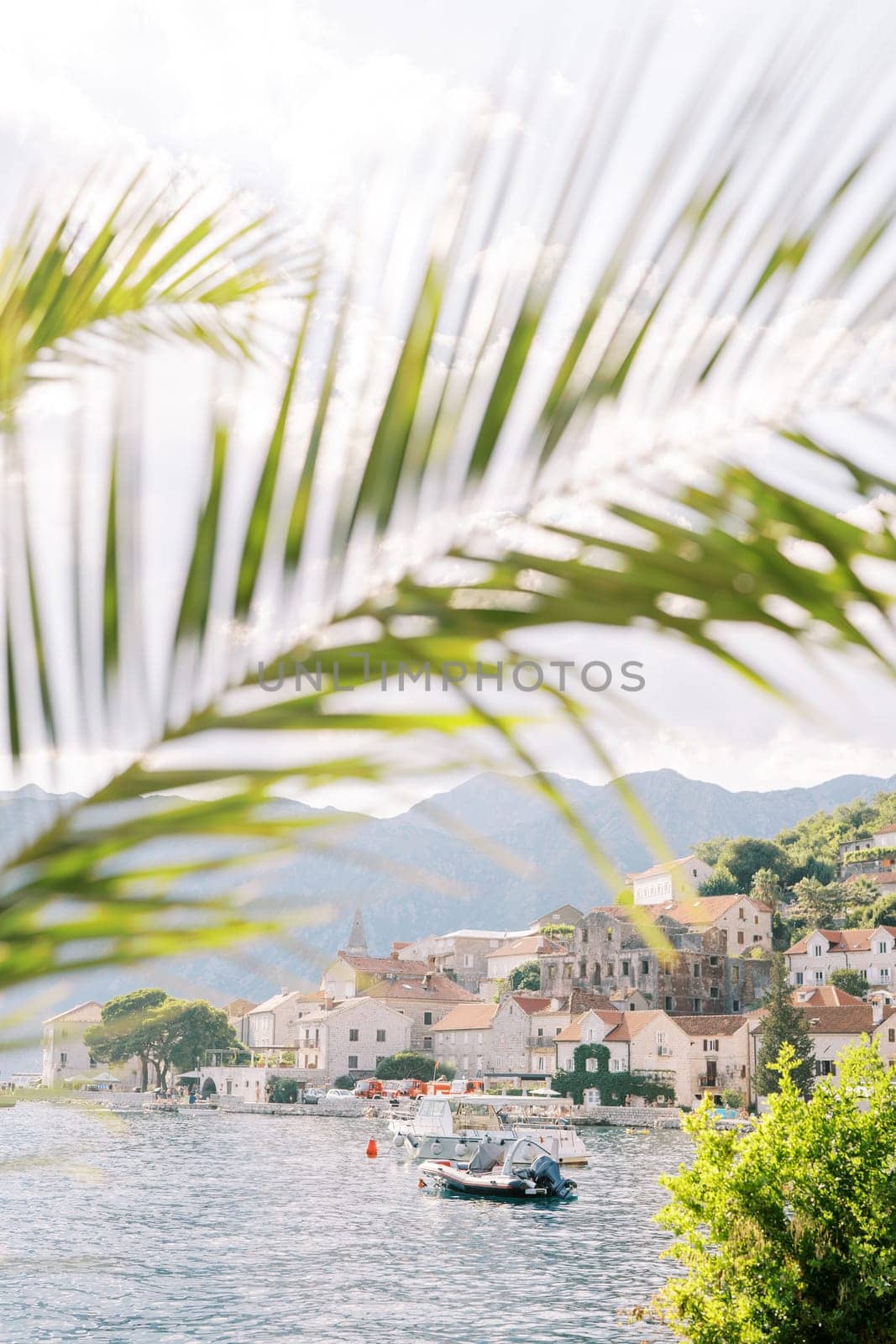 View through palm branches of boats standing off the coast of Perast. Montenegro. High quality photo
