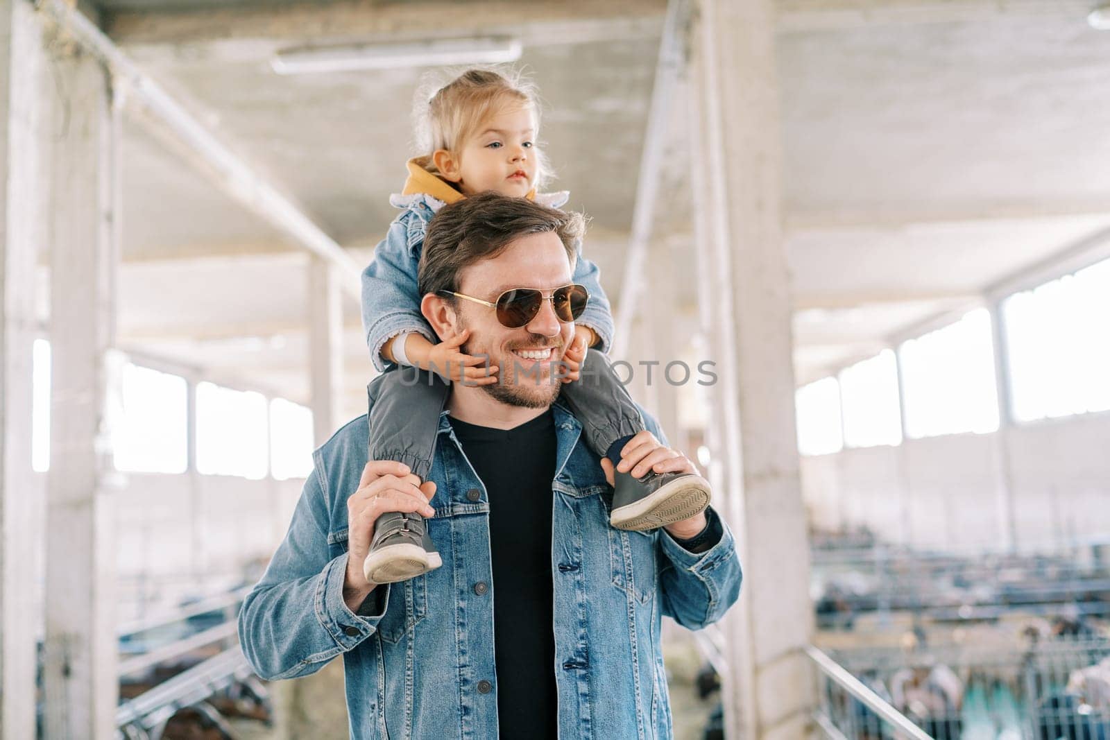 Smiling dad with a little girl on his shoulders walks around the farm and looks at the goats. High quality photo