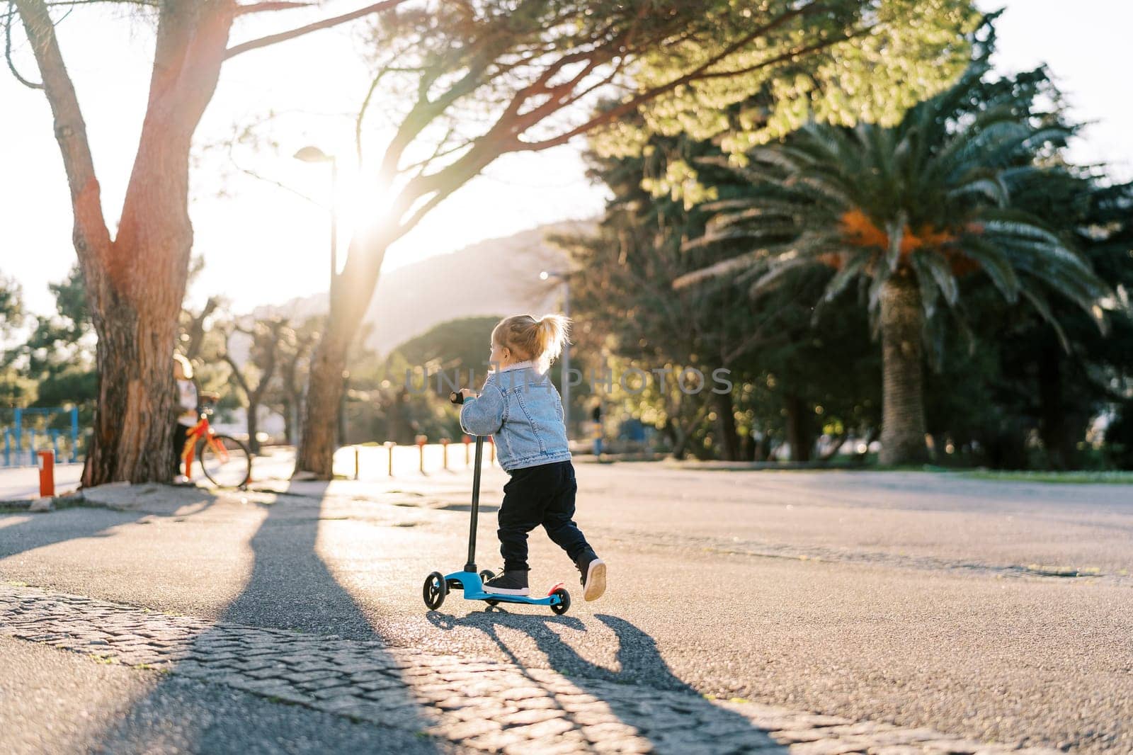 Little girl rides a scooter on the road in the sunny park. Back view. High quality photo