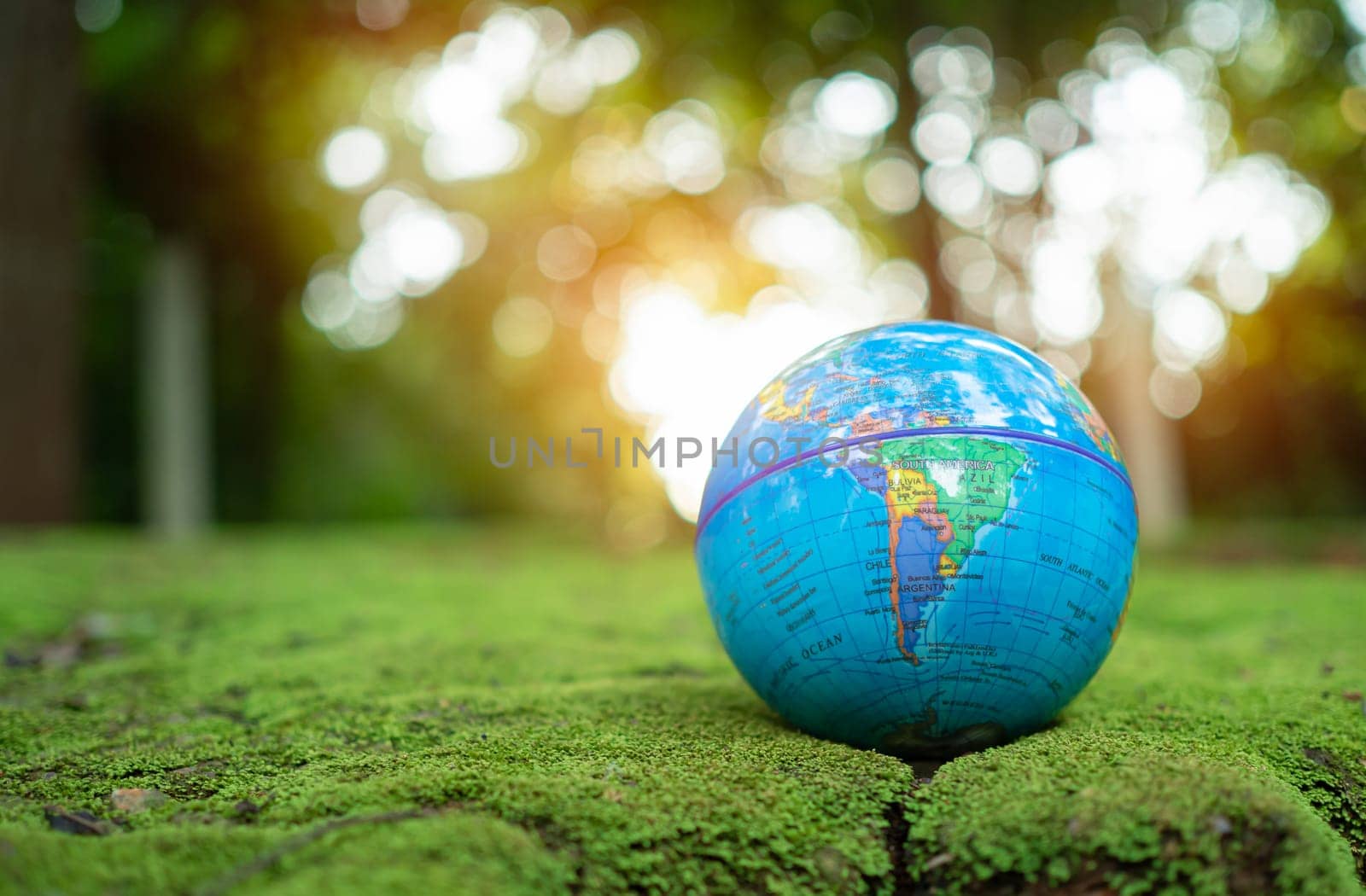 World map model and moss in green forest. Environment concept Ecology and Sustainable Environment of the World. Earth day concept. by Unimages2527