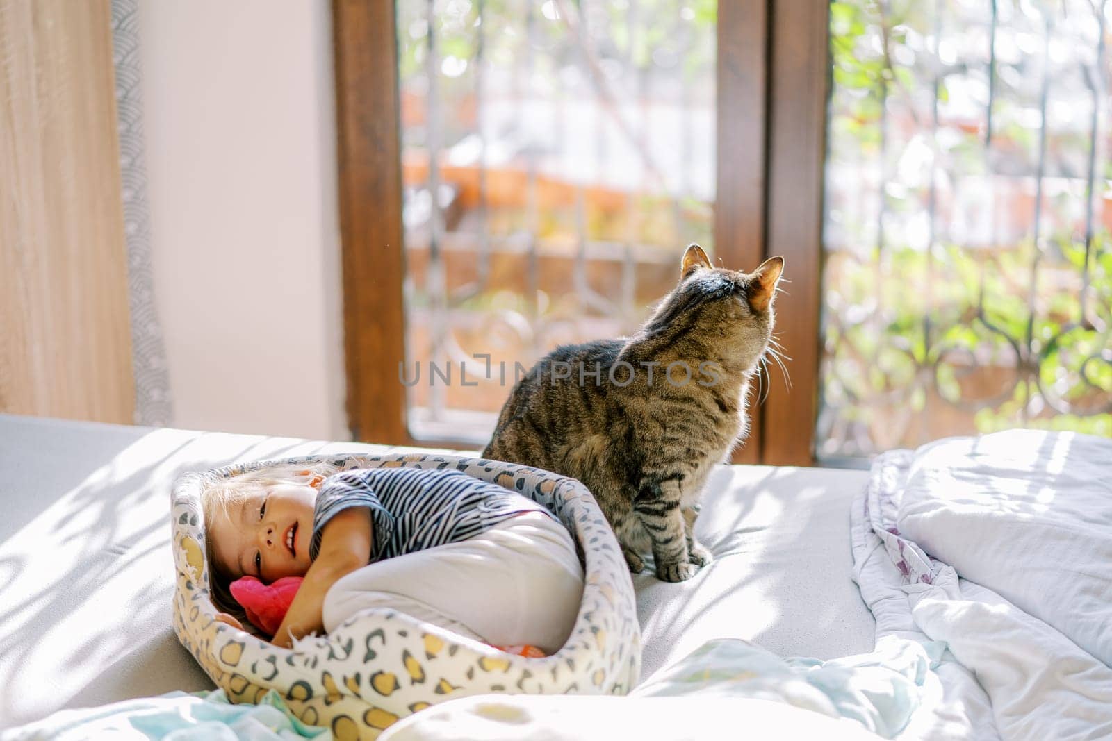 Little girl curled up in a cat bed near a sitting cat on the bed. High quality photo