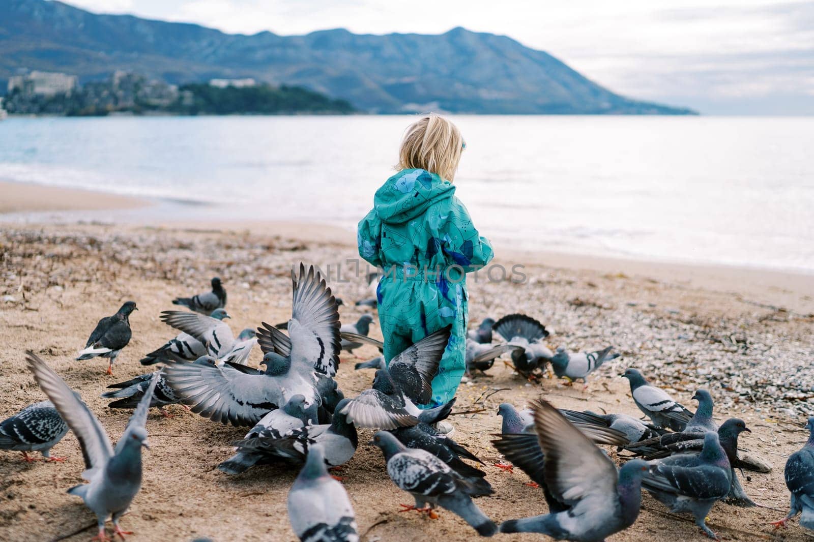 Little girl feeds a flock of pigeons on the seashore. Back view. High quality photo