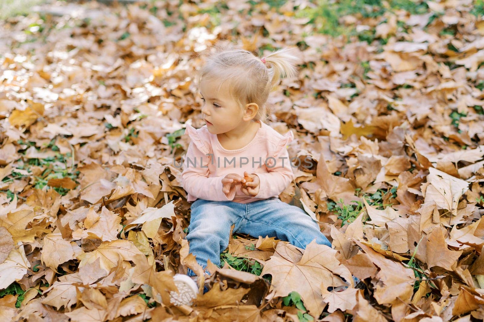 Little girl sits among the fallen leaves in the park and looks away by Nadtochiy