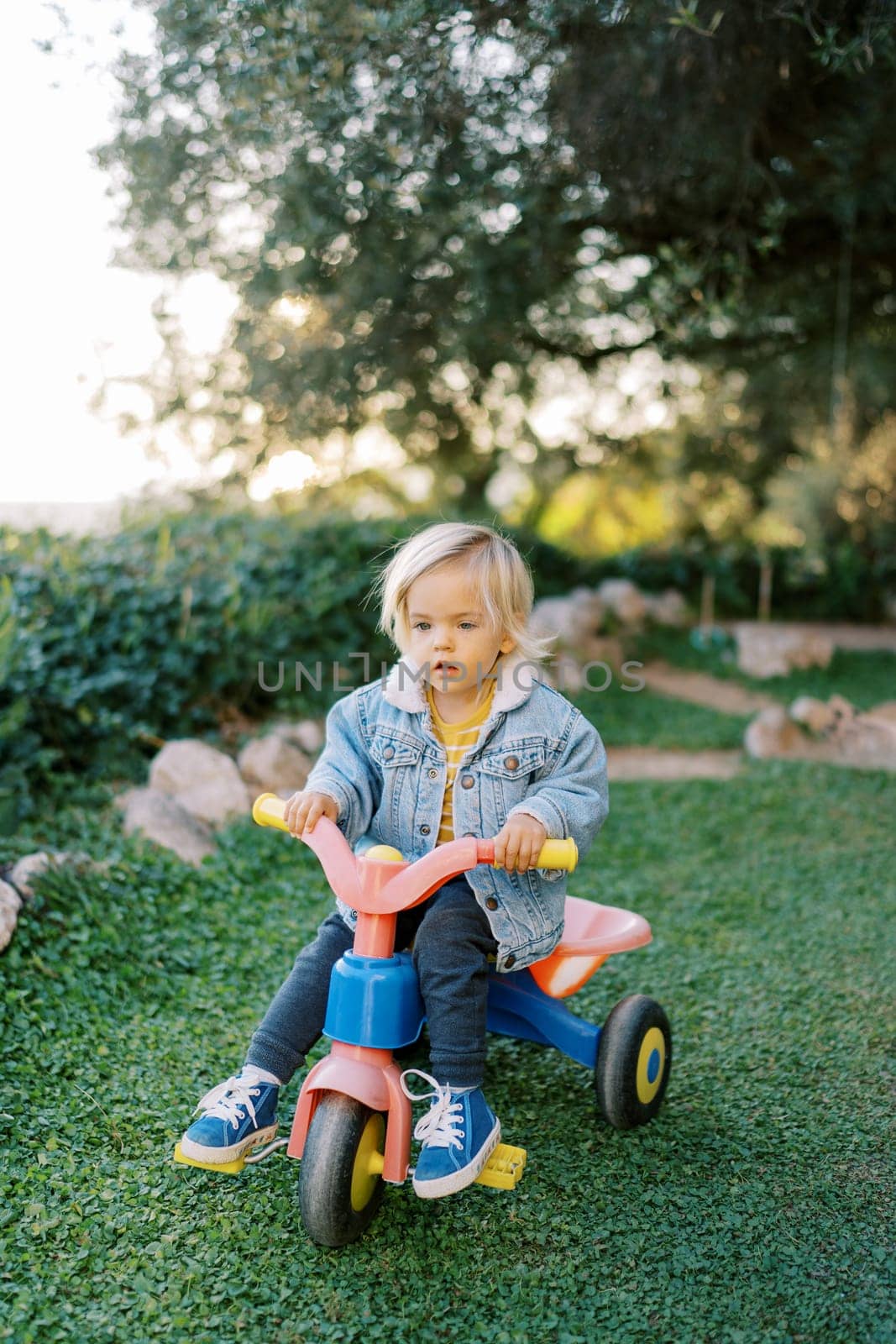 Little girl pedaling a tricycle on green grass in the park. High quality photo
