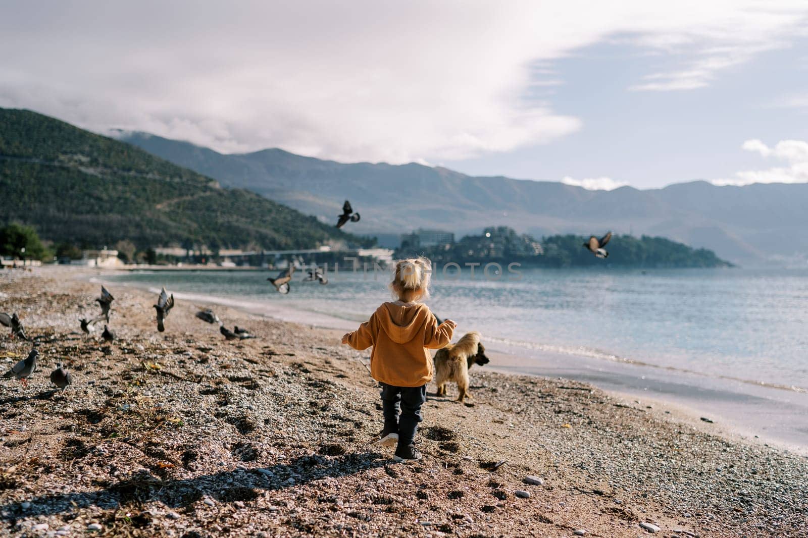 Little girl is walking along a pebbly beach with a fluffy dog. Back view. High quality photo