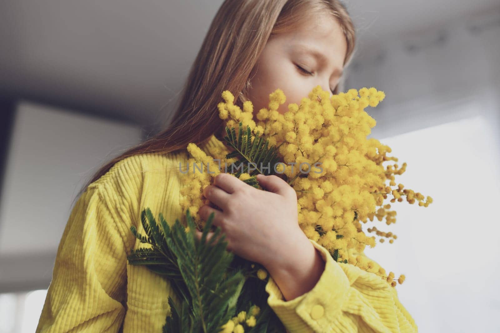 A girl smelling mimosa at spring