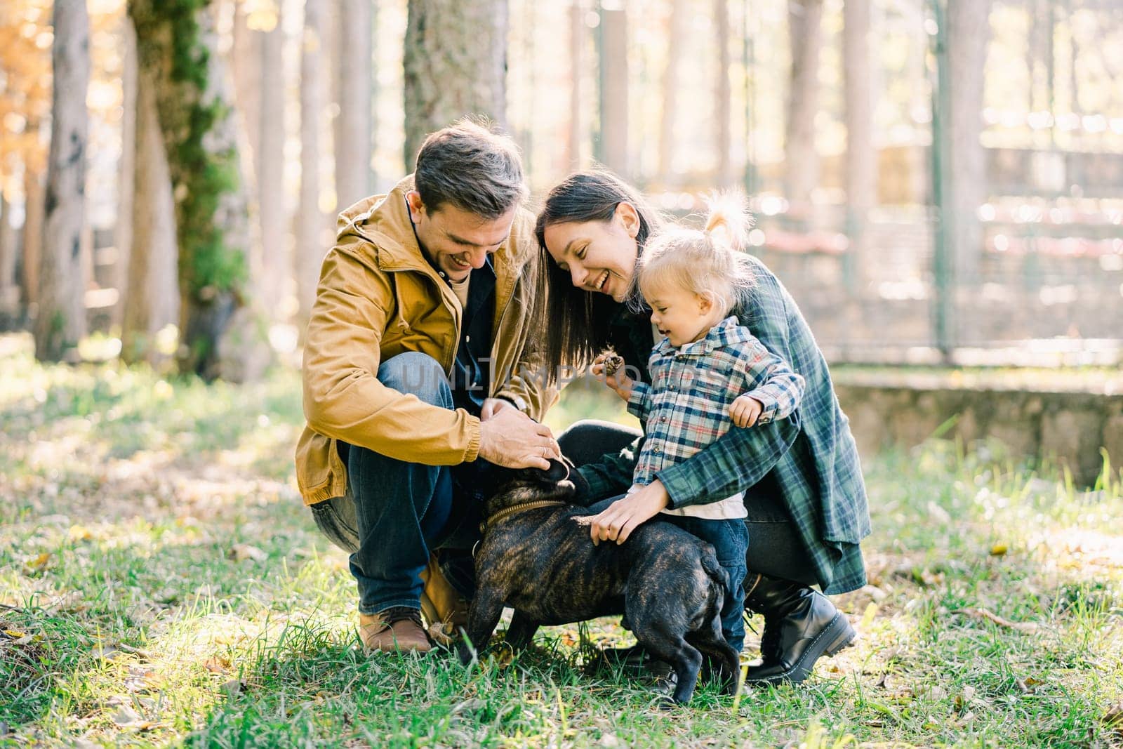 Smiling parents petting dog in park near little daughter. High quality photo