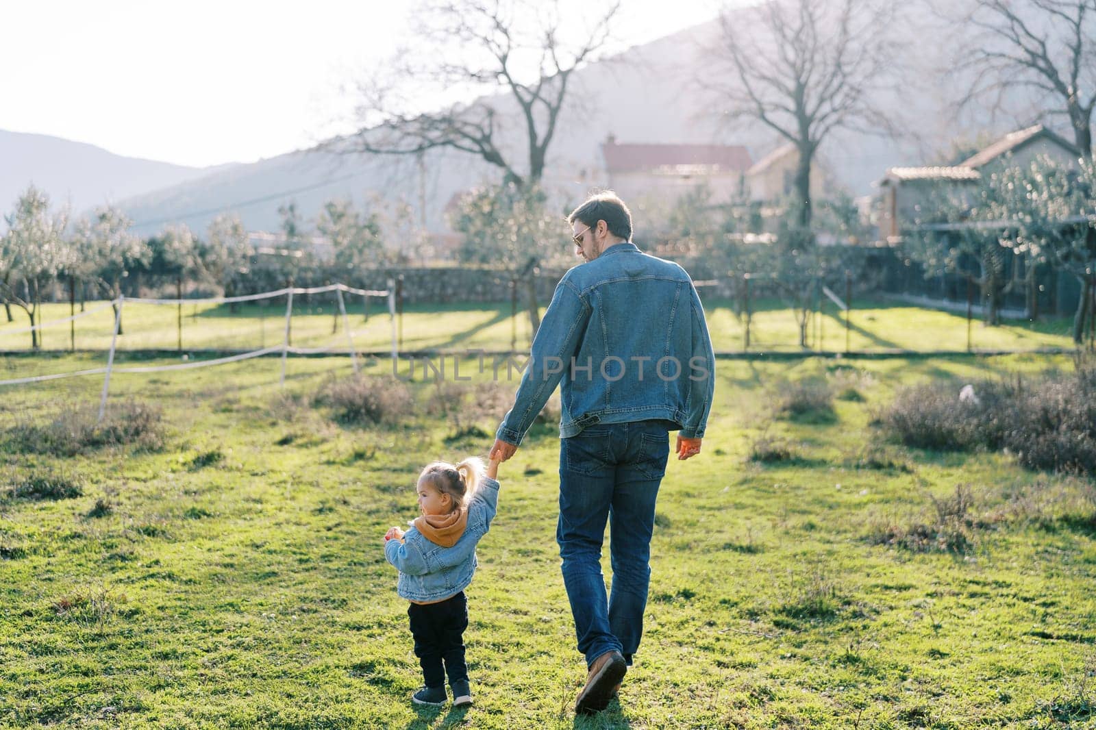 Little girl walks through a green pasture holding her dad hand and turning her head to the side. Back view. High quality photo