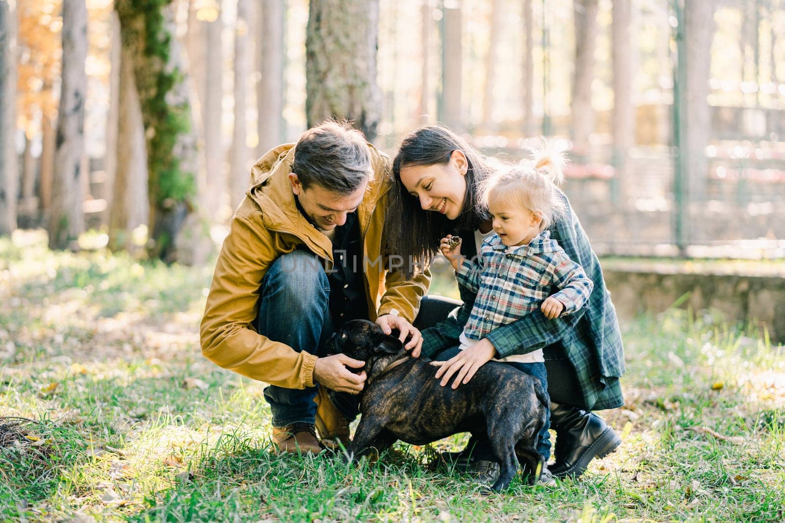 Little girl with mom and dad stroking a dog in the forest. High quality photo