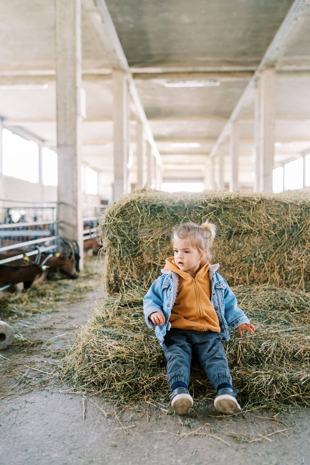 Little girl sits on a haystack at the farm and looks away by Nadtochiy