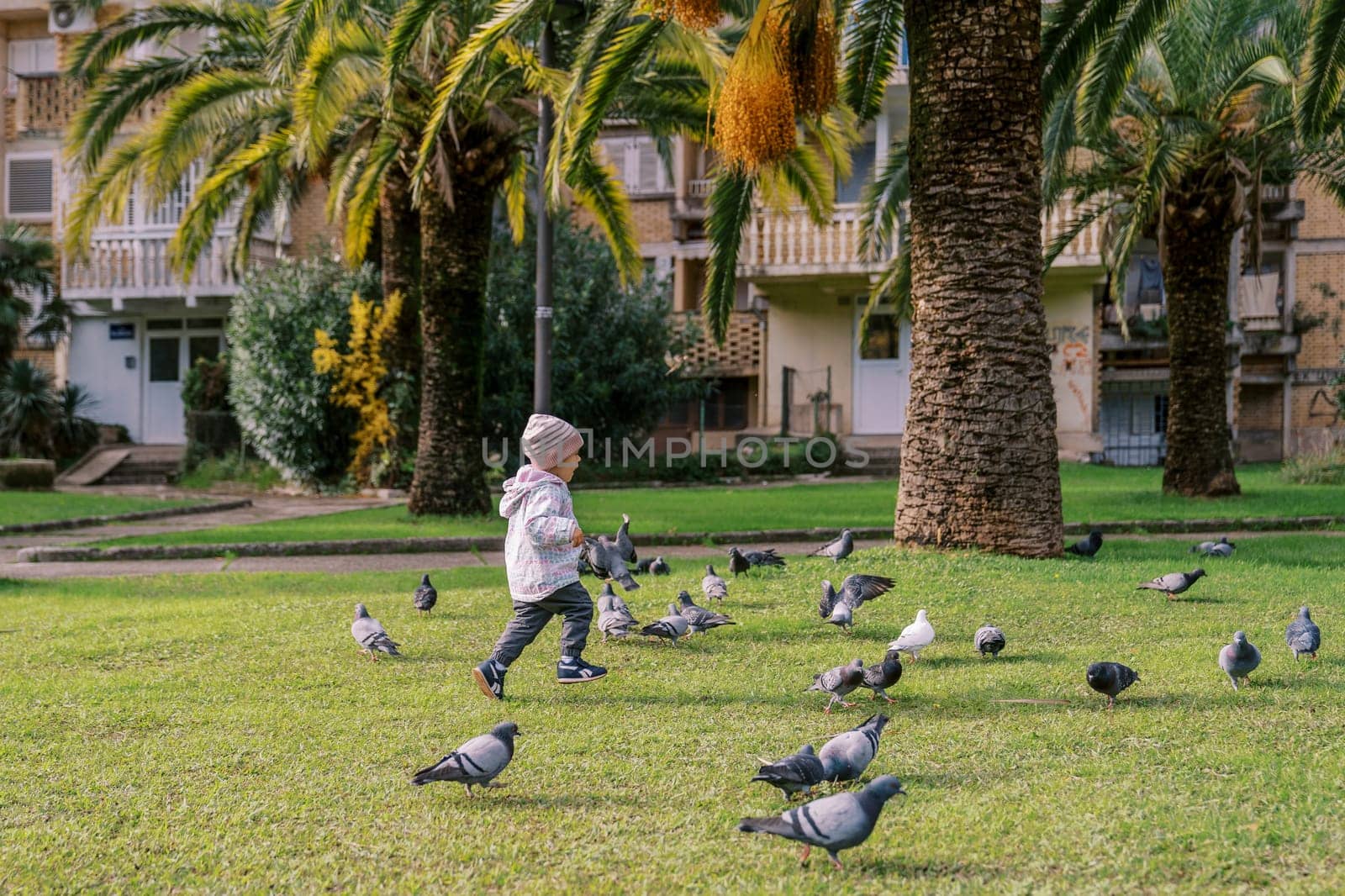 Little girl walks among the pigeons on a green glade. High quality photo