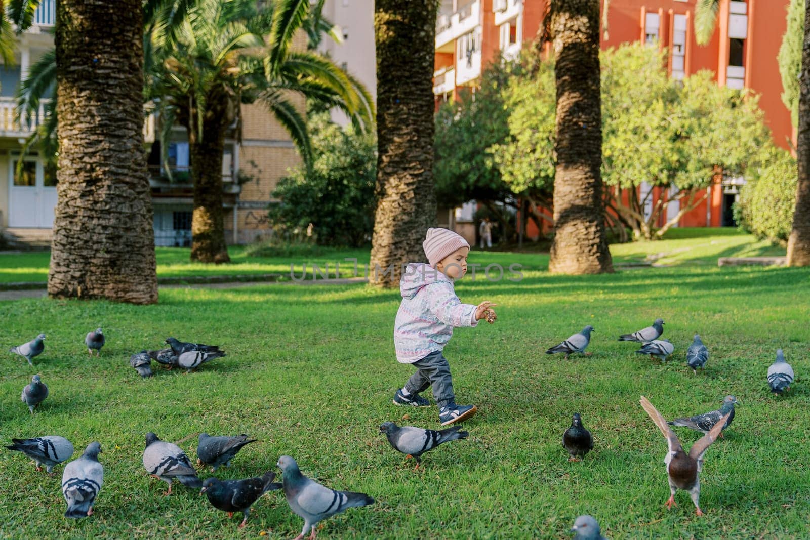 Little girl walks among the pigeons on a green lawn by Nadtochiy
