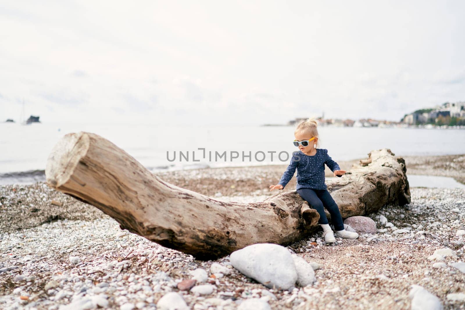 Little girl in sunglasses sits on a snag on the beach and looks on it. High quality photo