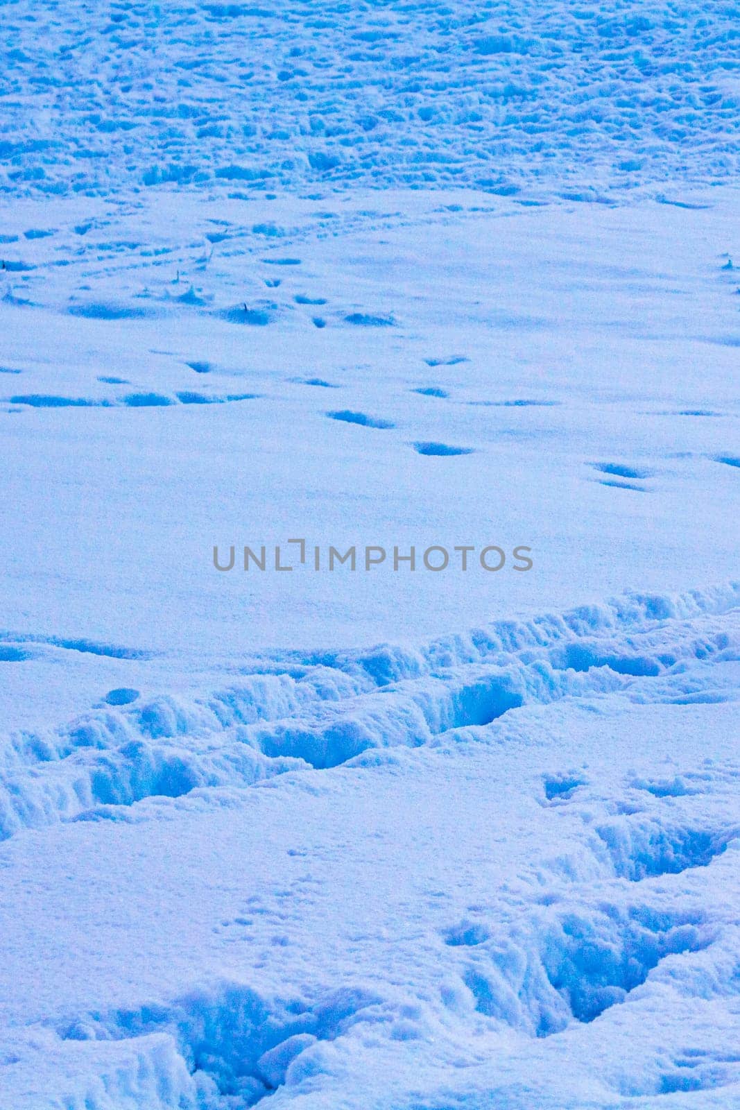 Deep footprints in the snow in Bremerhaven Germany. by Arkadij