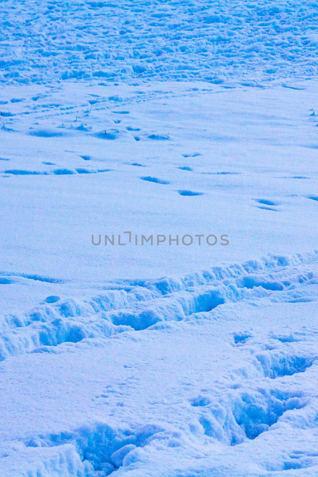 Deep footprints in the snow in Weddewarden Bremerhaven Germany.