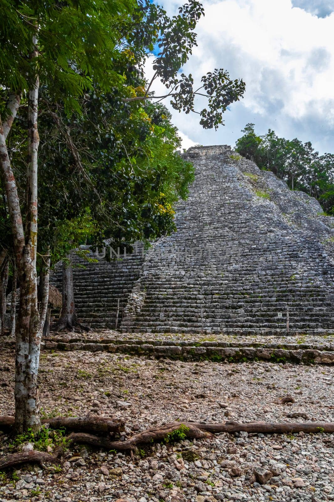 Coba Maya Ruins Nohoch Mul pyramid in tropical jungle Mexico. by Arkadij