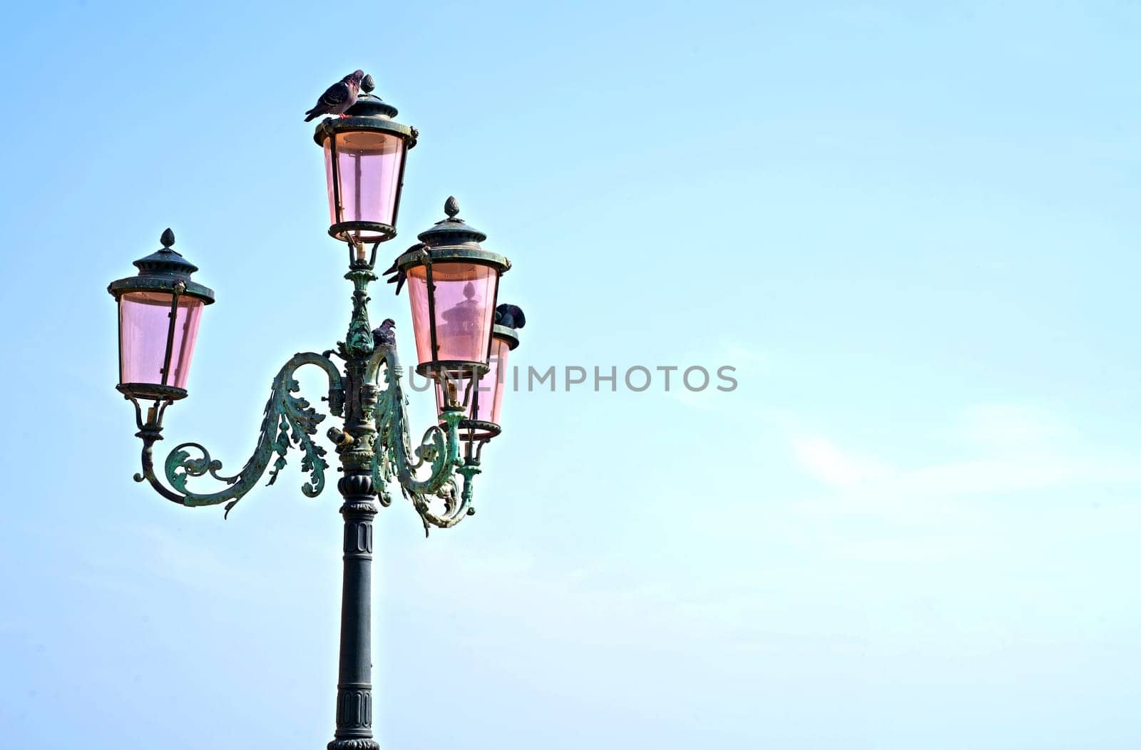 Lantern on the street of Venice. The famous pink lights of Venice. Four lamps with pink glass are on an ornate black metal lamp post. Blue cloudless sky. by aprilphoto