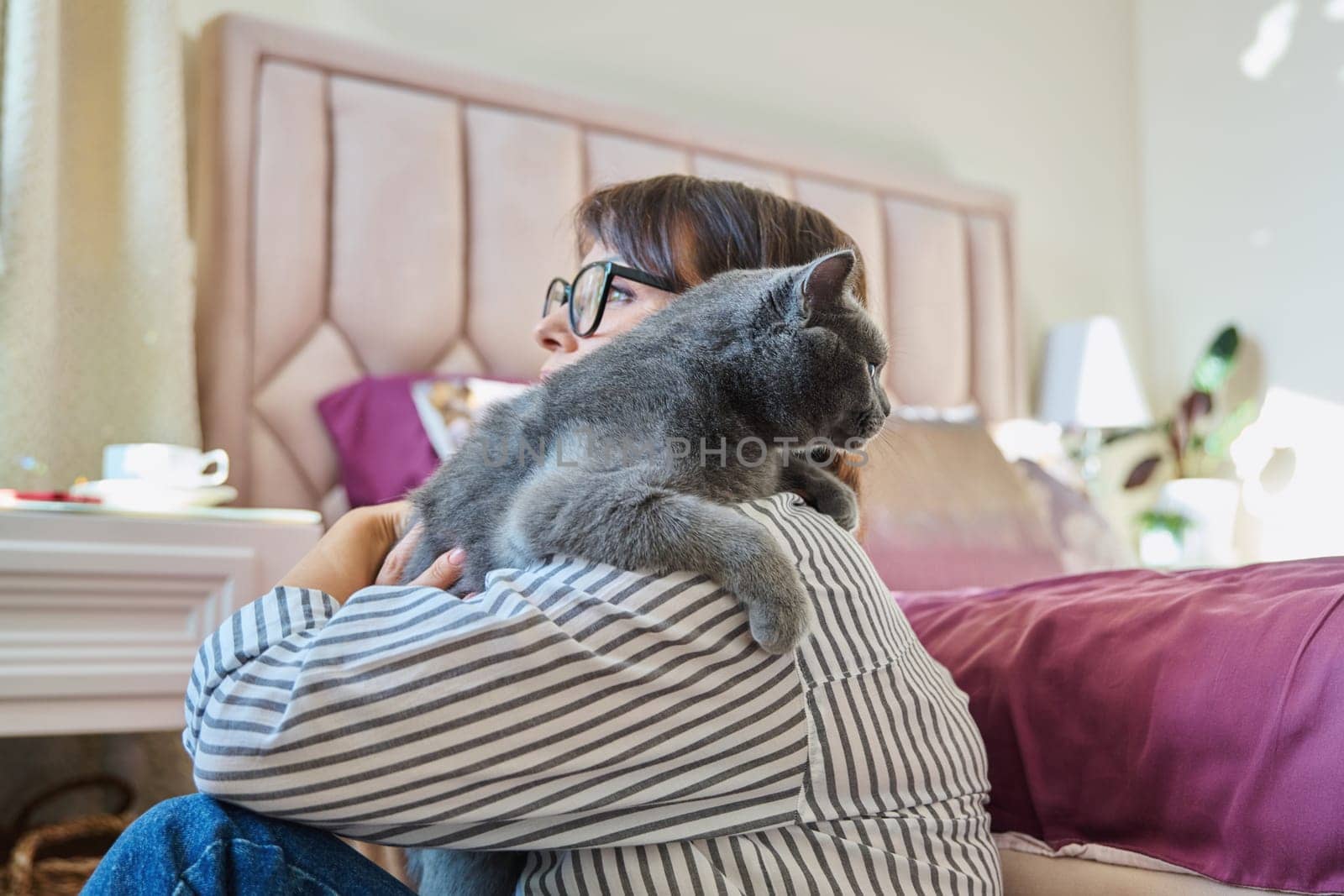 Gray cat in hands of woman at home, cat sitting on shoulder, love friendship, pet and owner, animals people concept