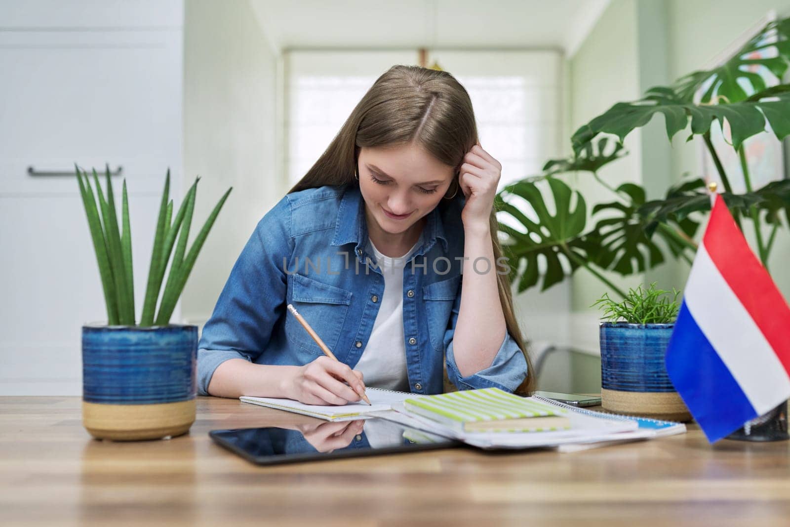 Young female student looking at webcam talking studying or teaching. On table textbooks, flag of Netherlands. Education, university, online learning, remote distant lessons, knowledge people concept