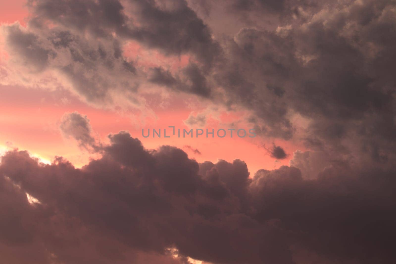 Orange, Black and pink dramatic sunset sky line by gena_wells