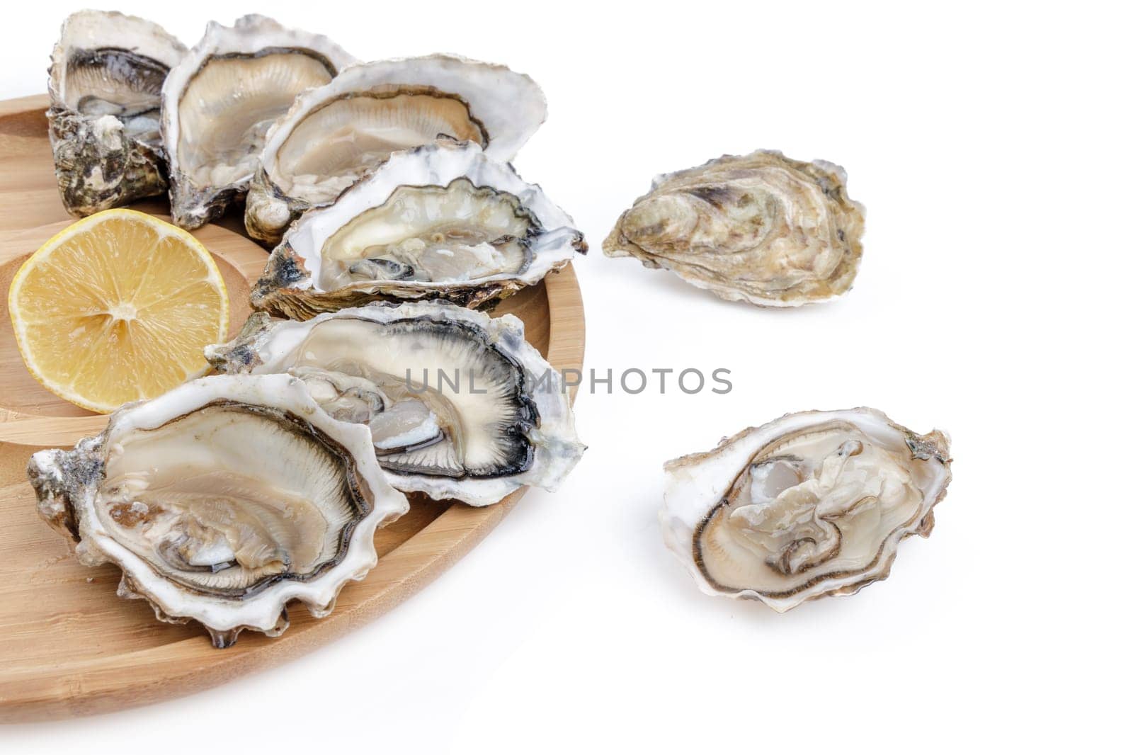 fresh appetizing oysters on white background 2 by Mixa74