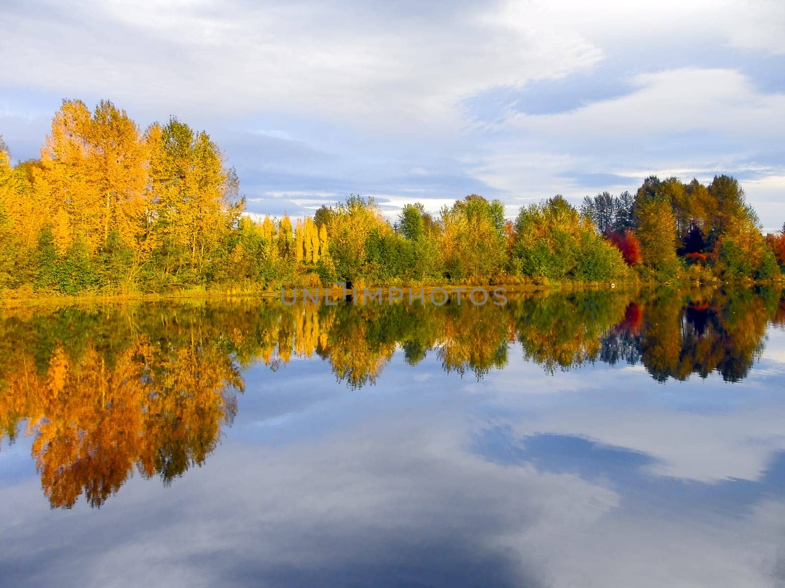 Autumn colored trees on cloudy sky background with reflection in the river water