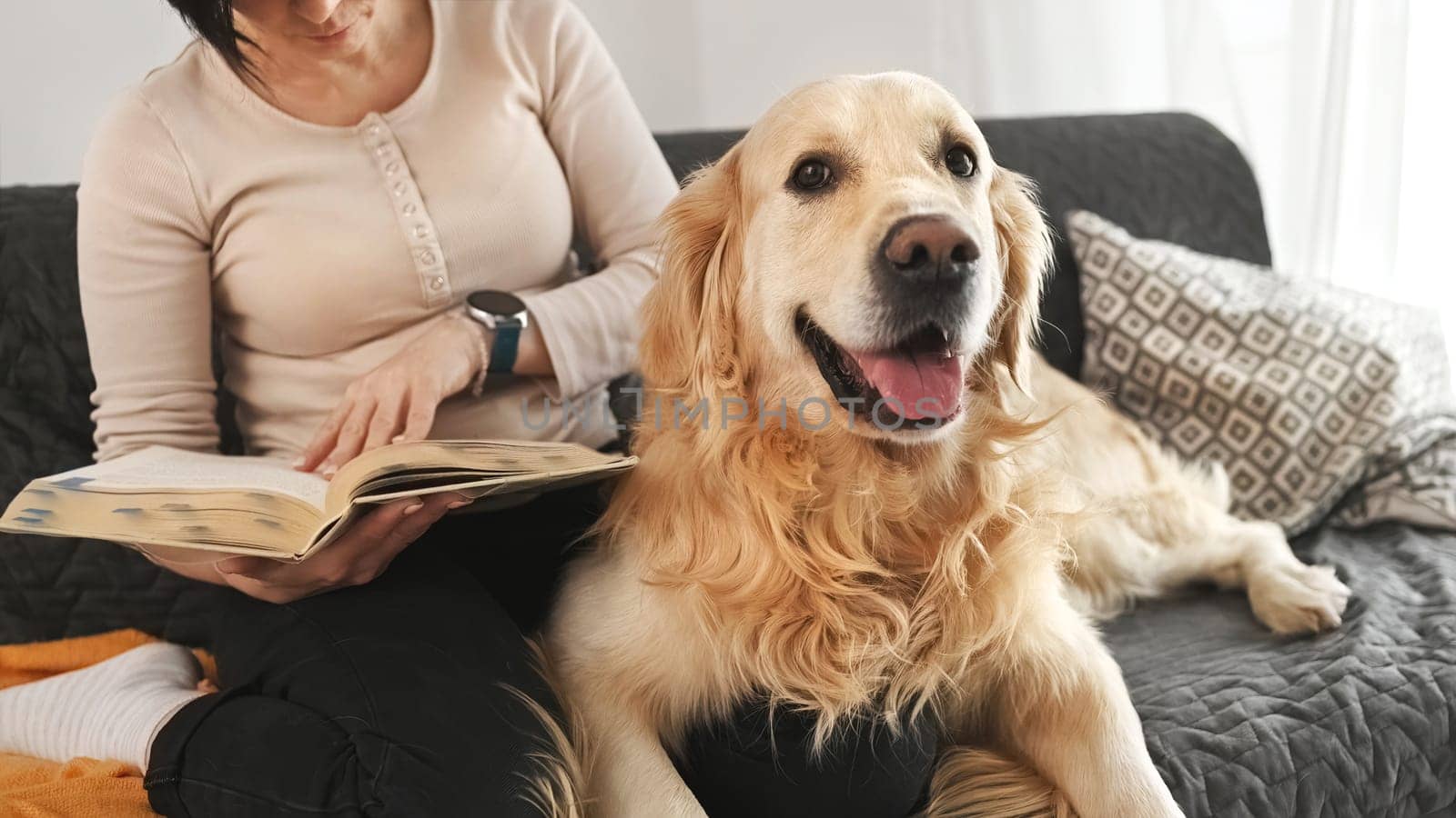Girl with golden retriever dog reading book by GekaSkr