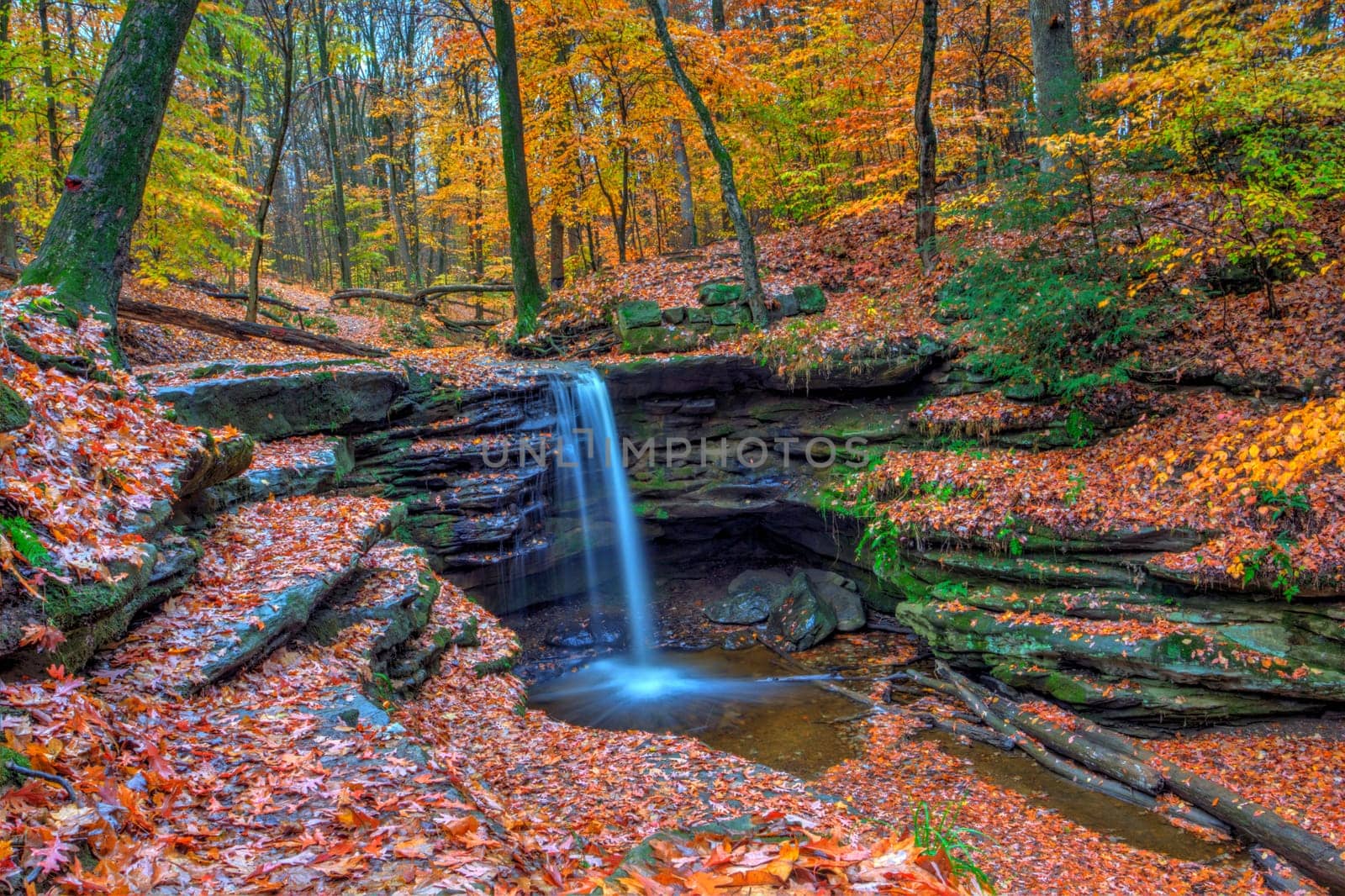 View of Dundee Falls in Autumn, Beach City Wilderness Area, Ohio