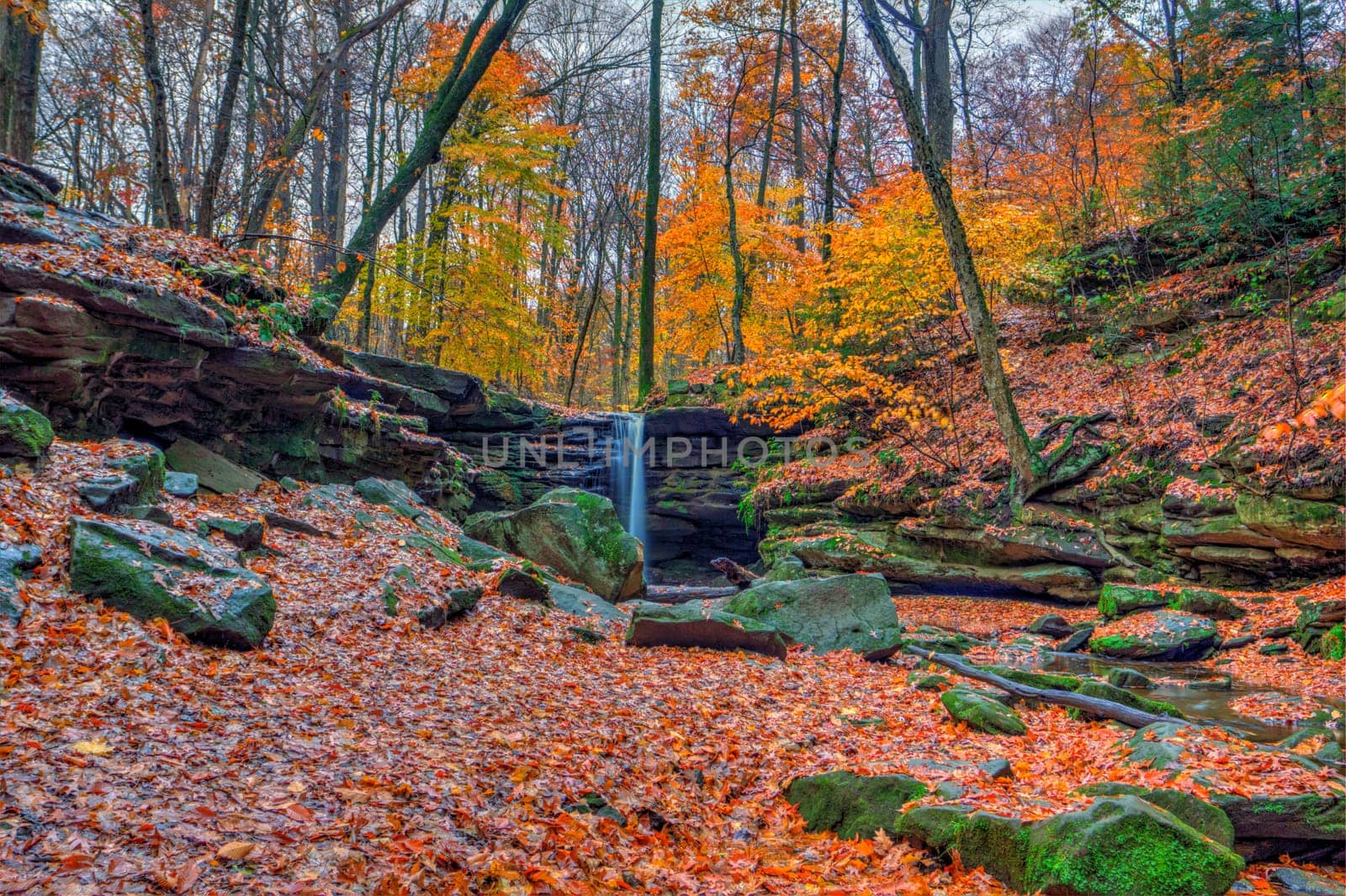 View of Dundee Falls in Autumn, Beach City Wilderness Area, Ohio