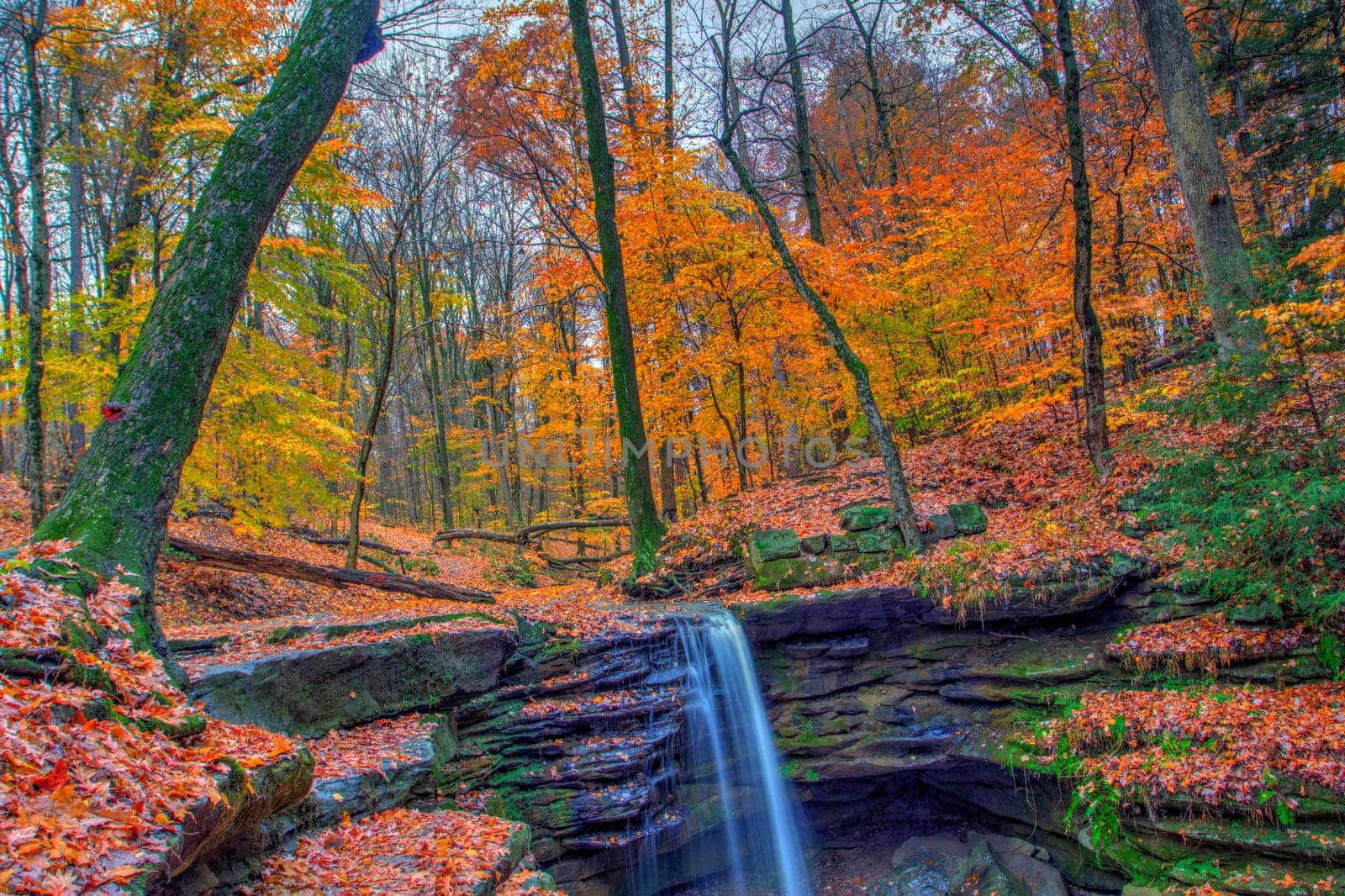 View of Dundee Falls in Autumn, Beach City Wilderness Area, Ohio