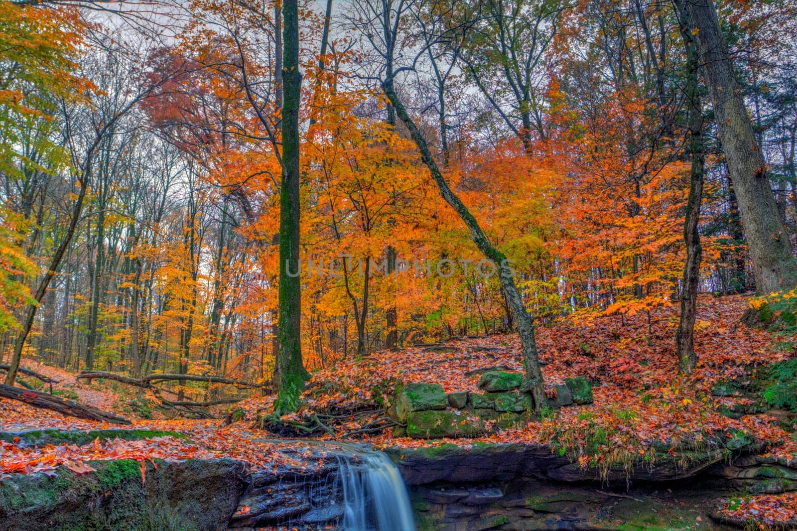 View of Dundee Falls in Autumn, Beach City Wilderness Area, Ohio