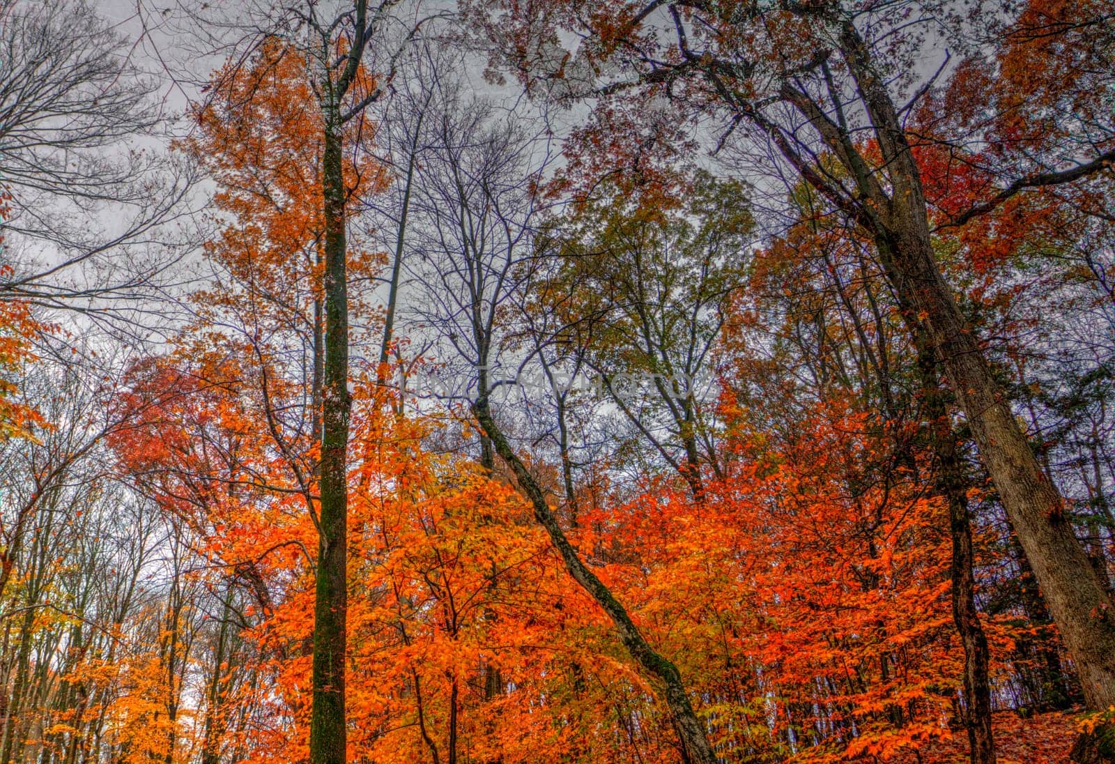 View of Dundee Falls in Autumn, Beach City Wilderness Area, Ohio