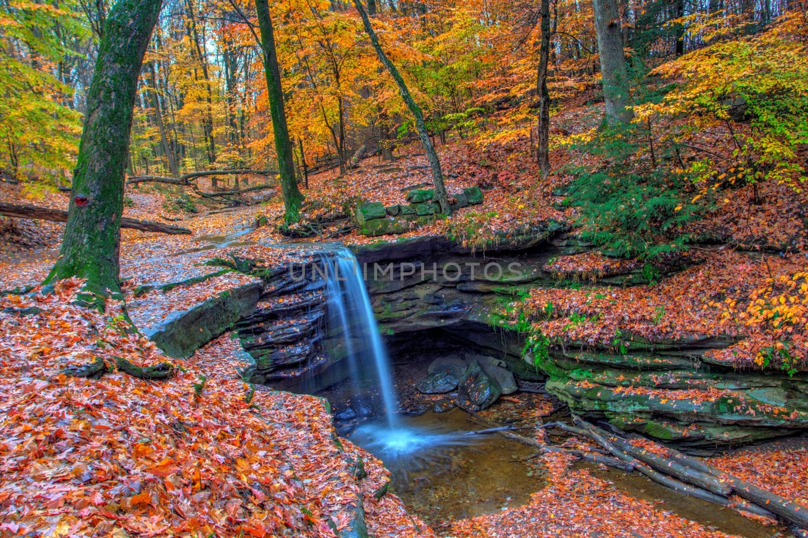 View of Dundee Falls in Autumn, Beach City Wilderness Area, Ohio