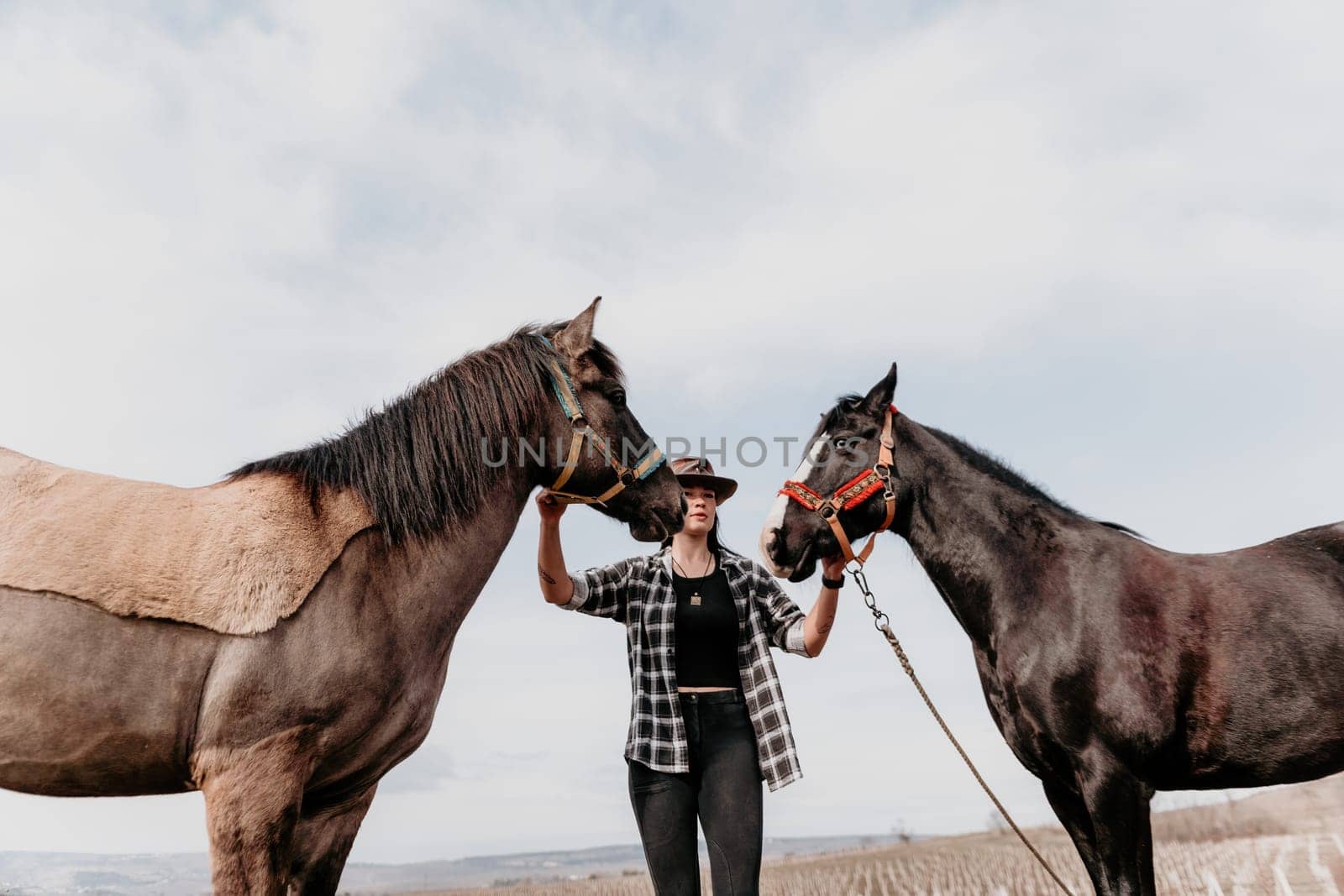 Cute happy young woman with horse. Rider female drives her horse in nature on evening sunset light background. Concept of outdoor riding, sports and recreation.